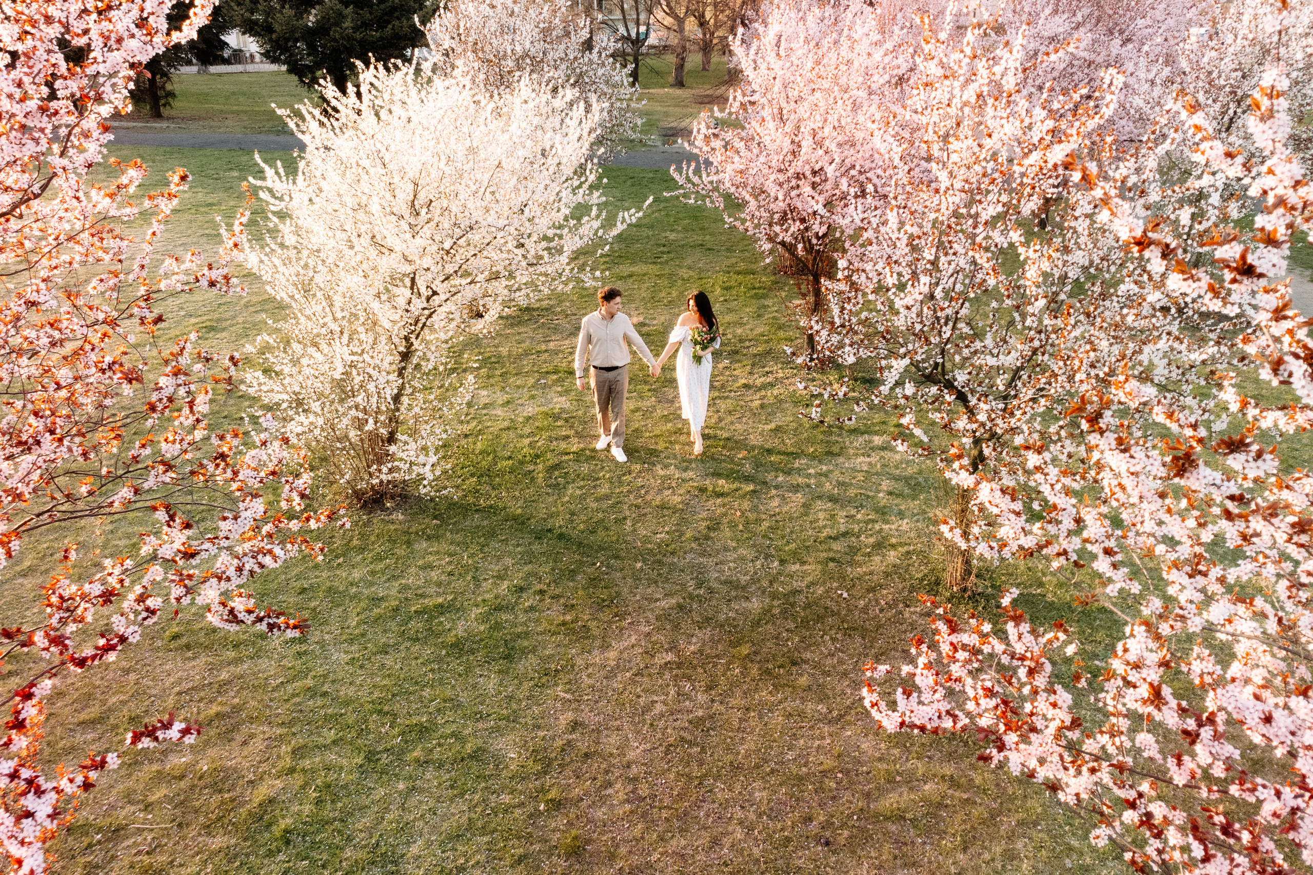 Alicja ♡ Olek. Fotograf Ślubny Warszawa - Sesje Biznesowe Rodzinne Eventy