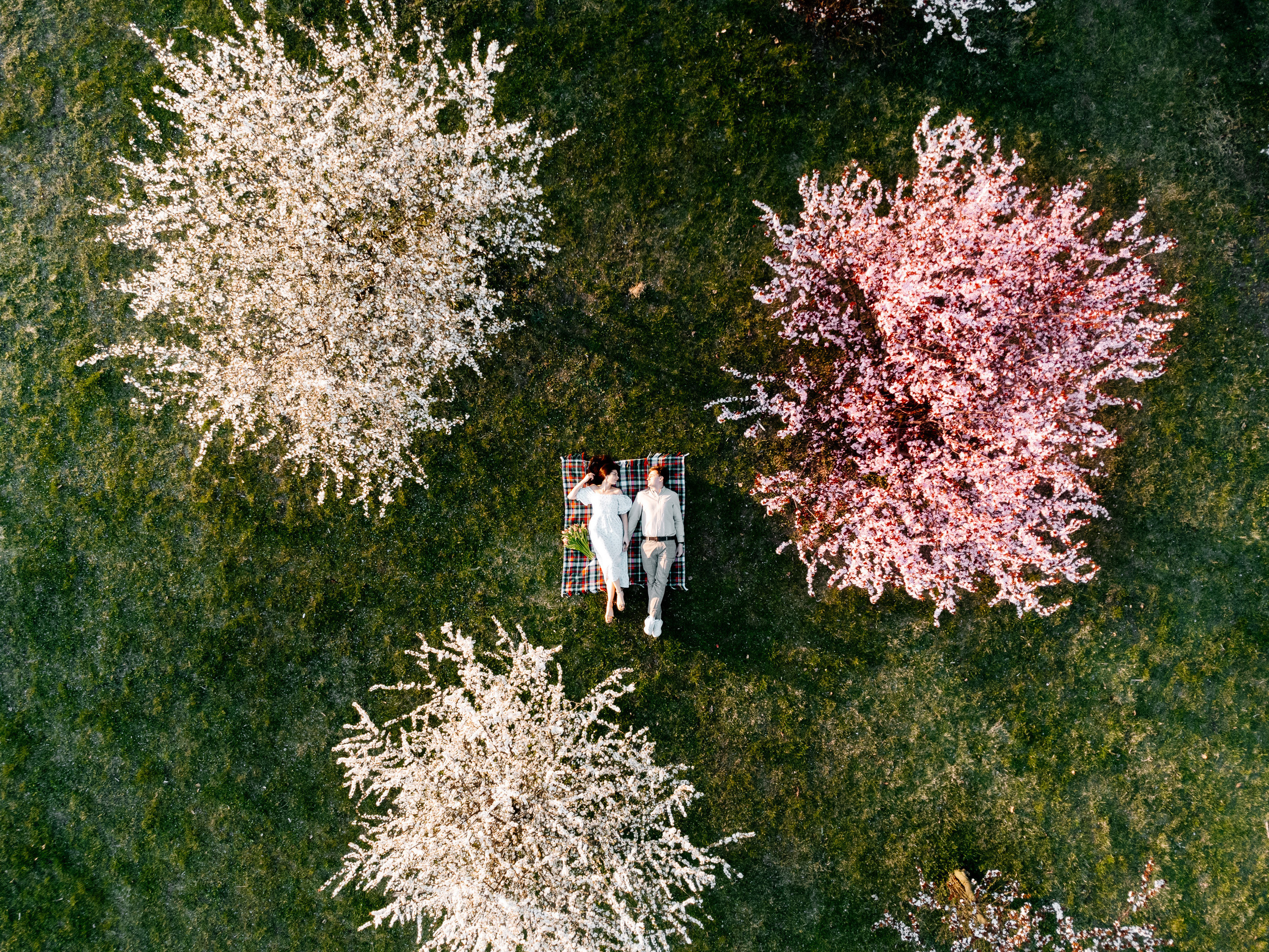 Alicja ♡ Olek. Fotograf Ślubny Warszawa - Sesje Biznesowe Rodzinne Eventy