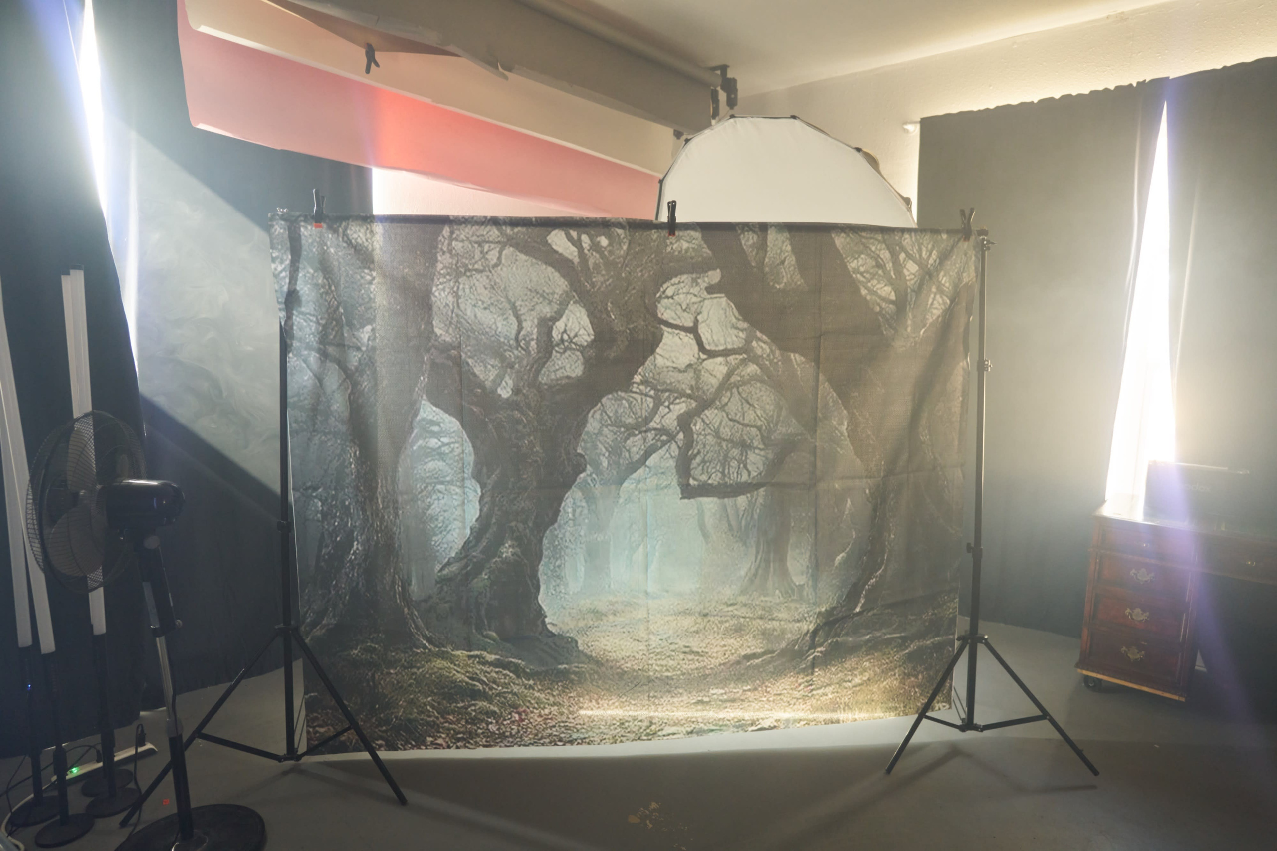 STUDIO RENTAL. Austin Wedding Photographer | Alex Pedan Photography