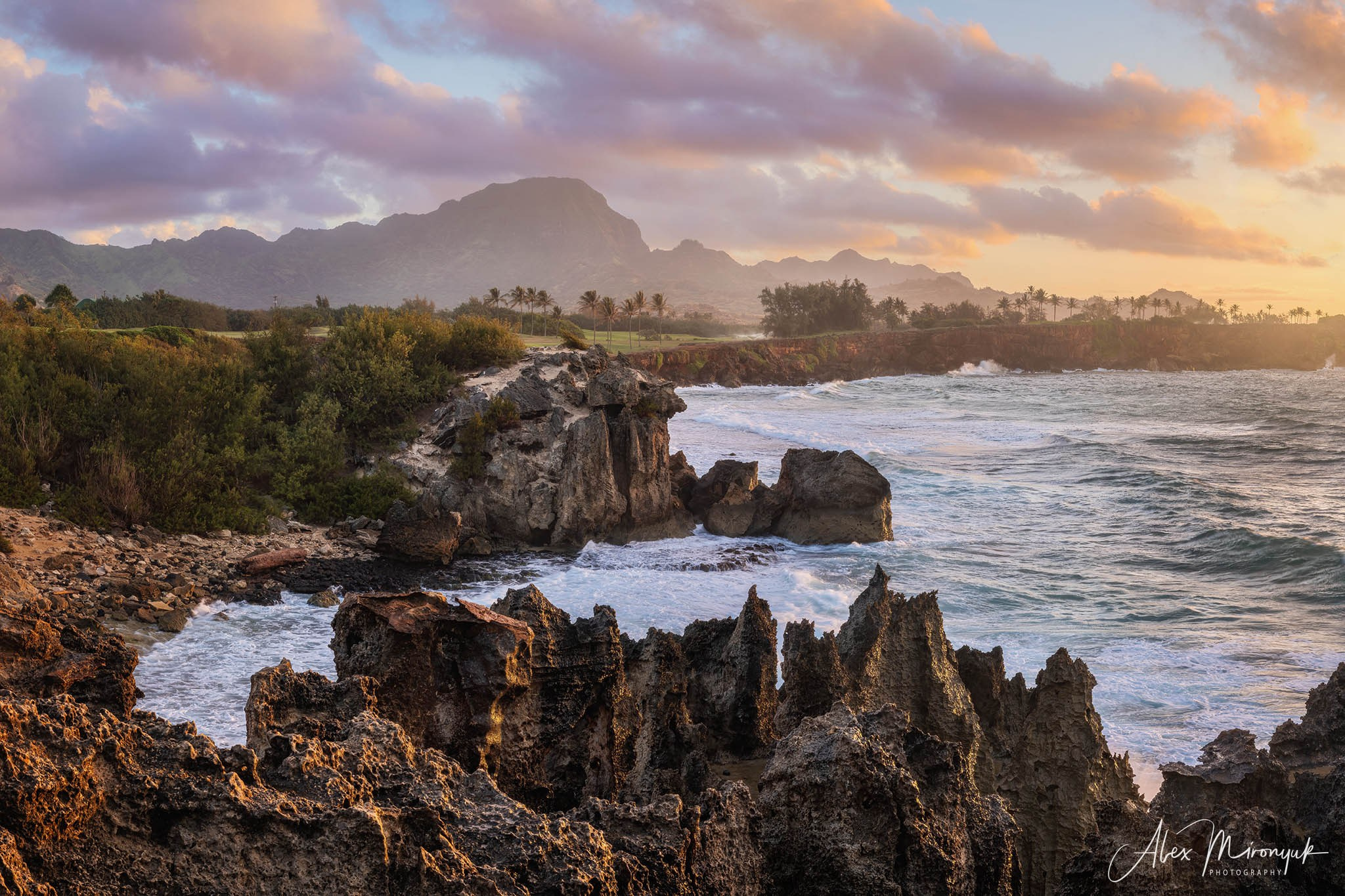 Kauai Photo Workshop