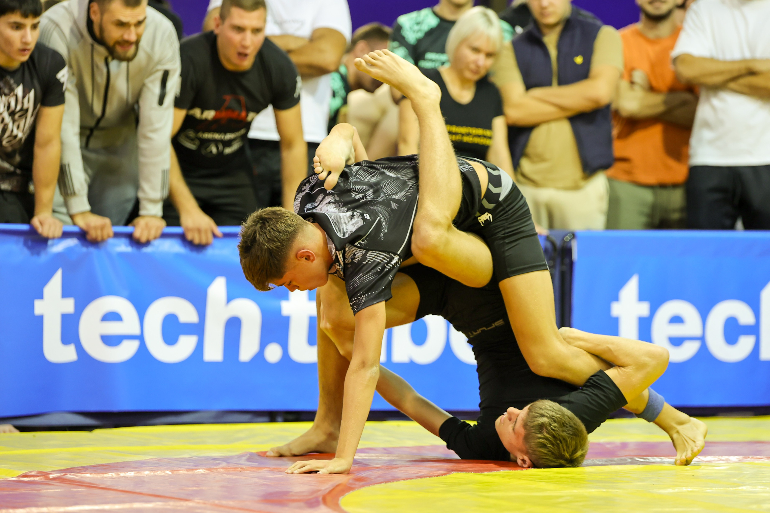 NO GI Challenge Novi Sad