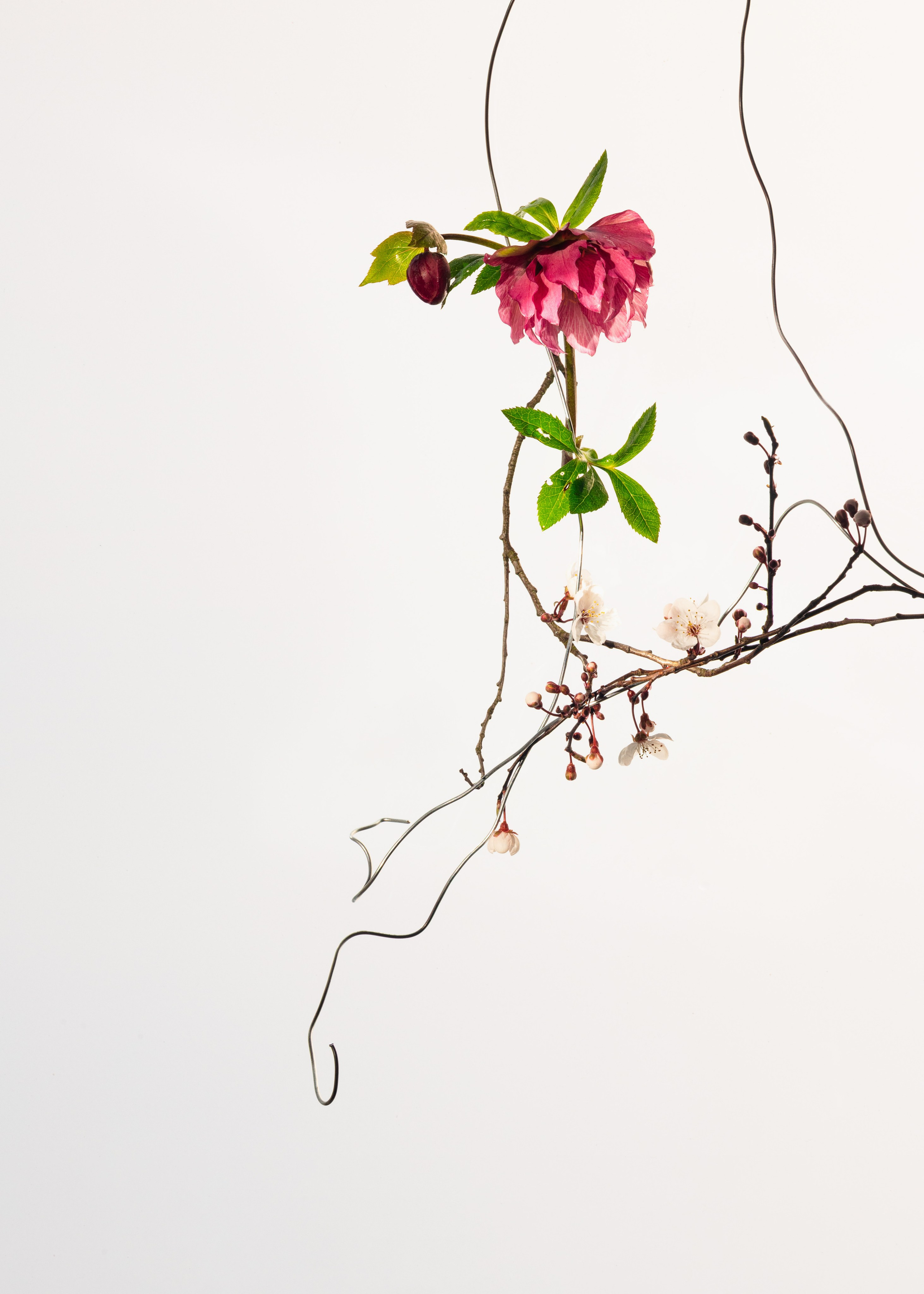 Marina Tsaregorodtseva photographer