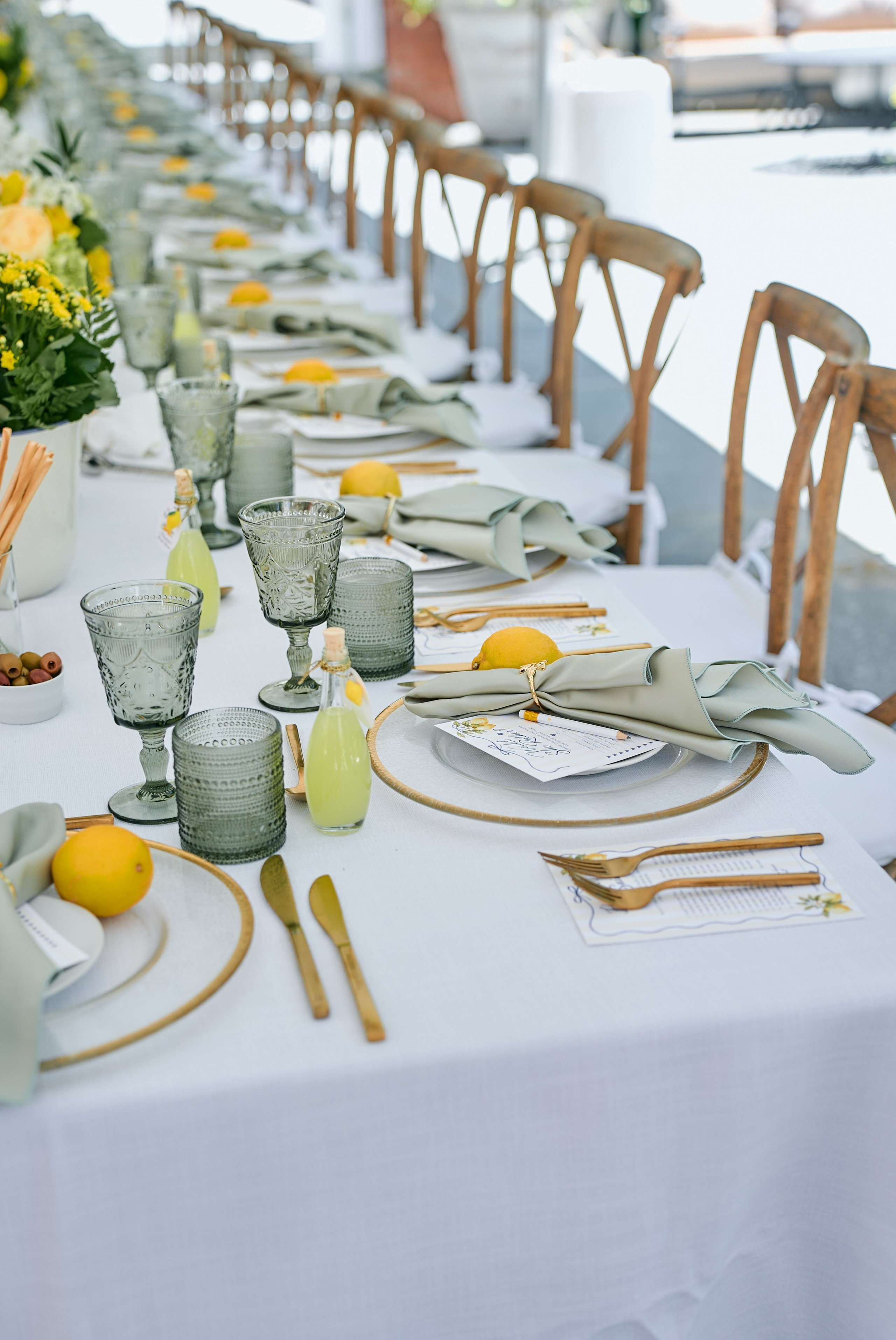 ADRIANNA BRIDAL PARTY. Professional Wedding and event photographer USA New York