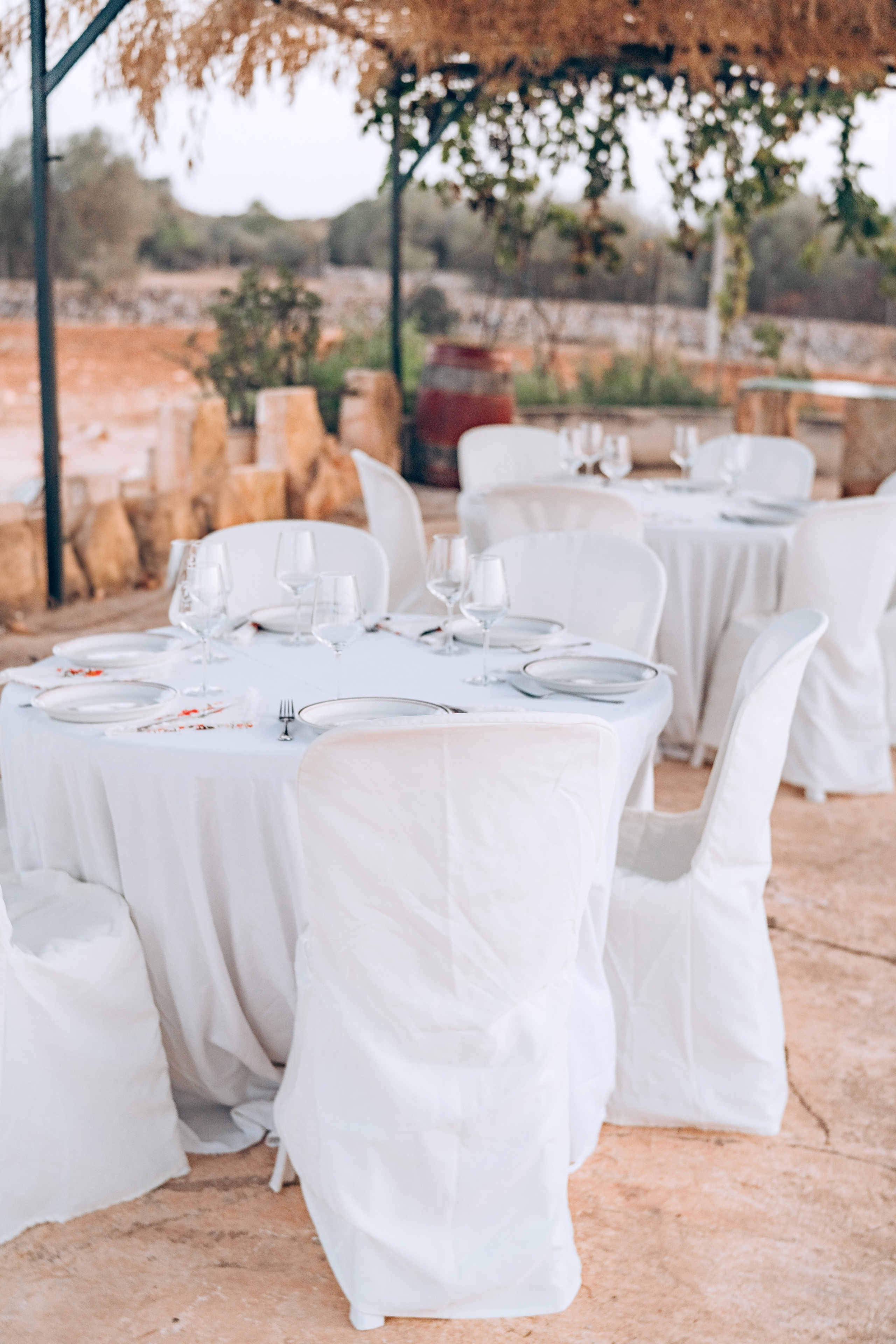 Bodega. Photographer in Mallorca