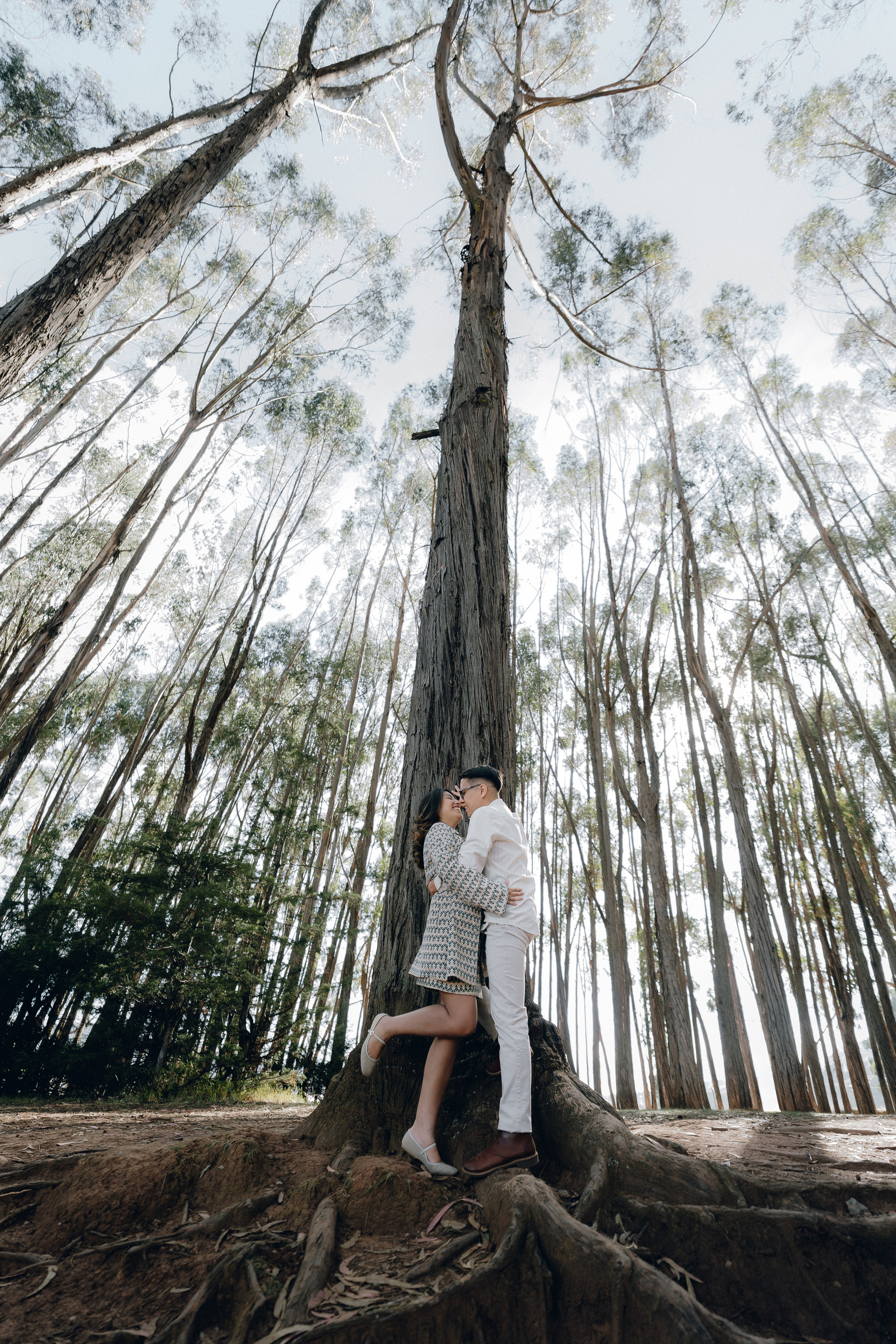 Servicios. Fotografo de Bodas Josu Feijoo