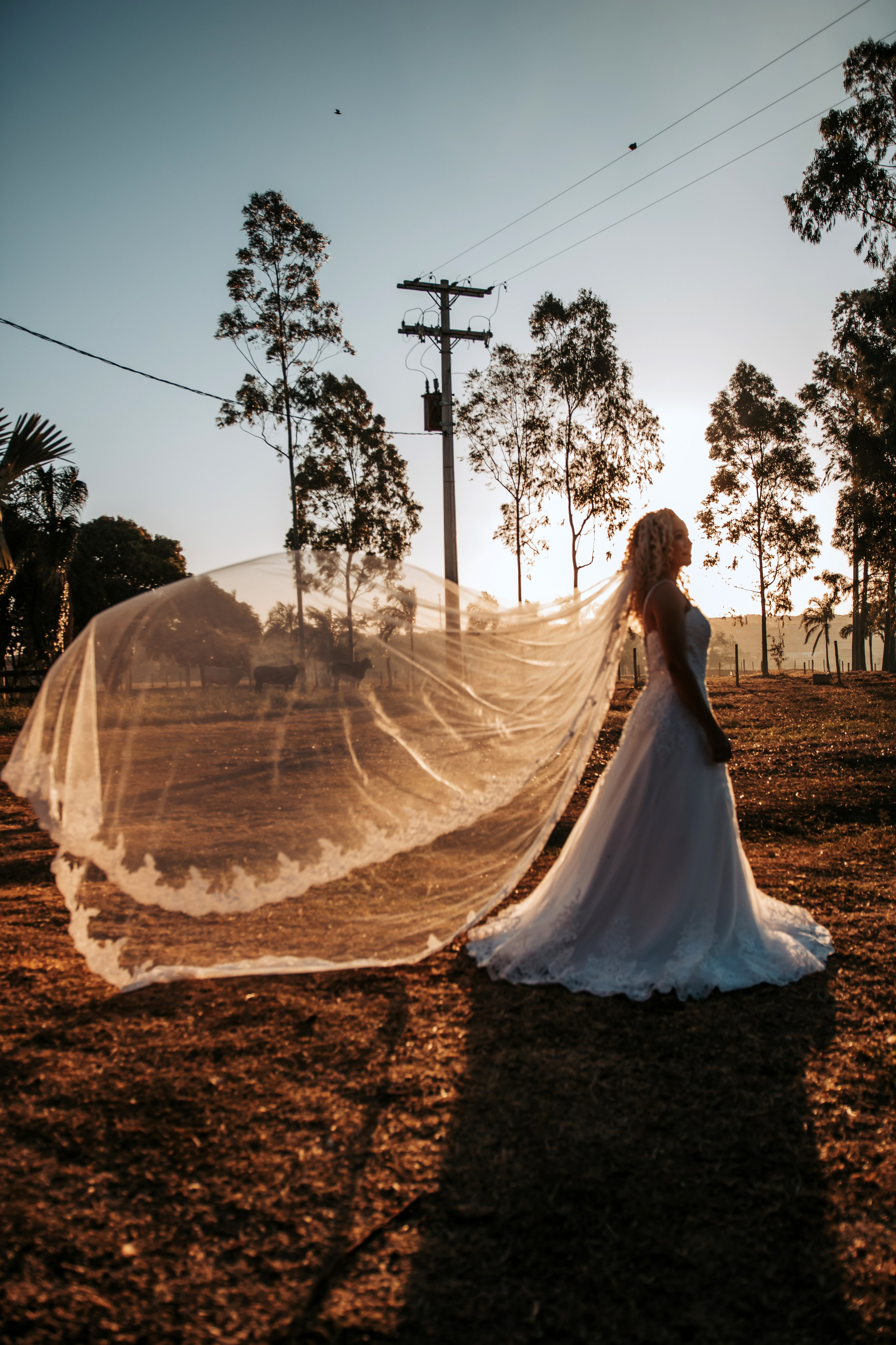 Rodrigo Zanutto Fotografia