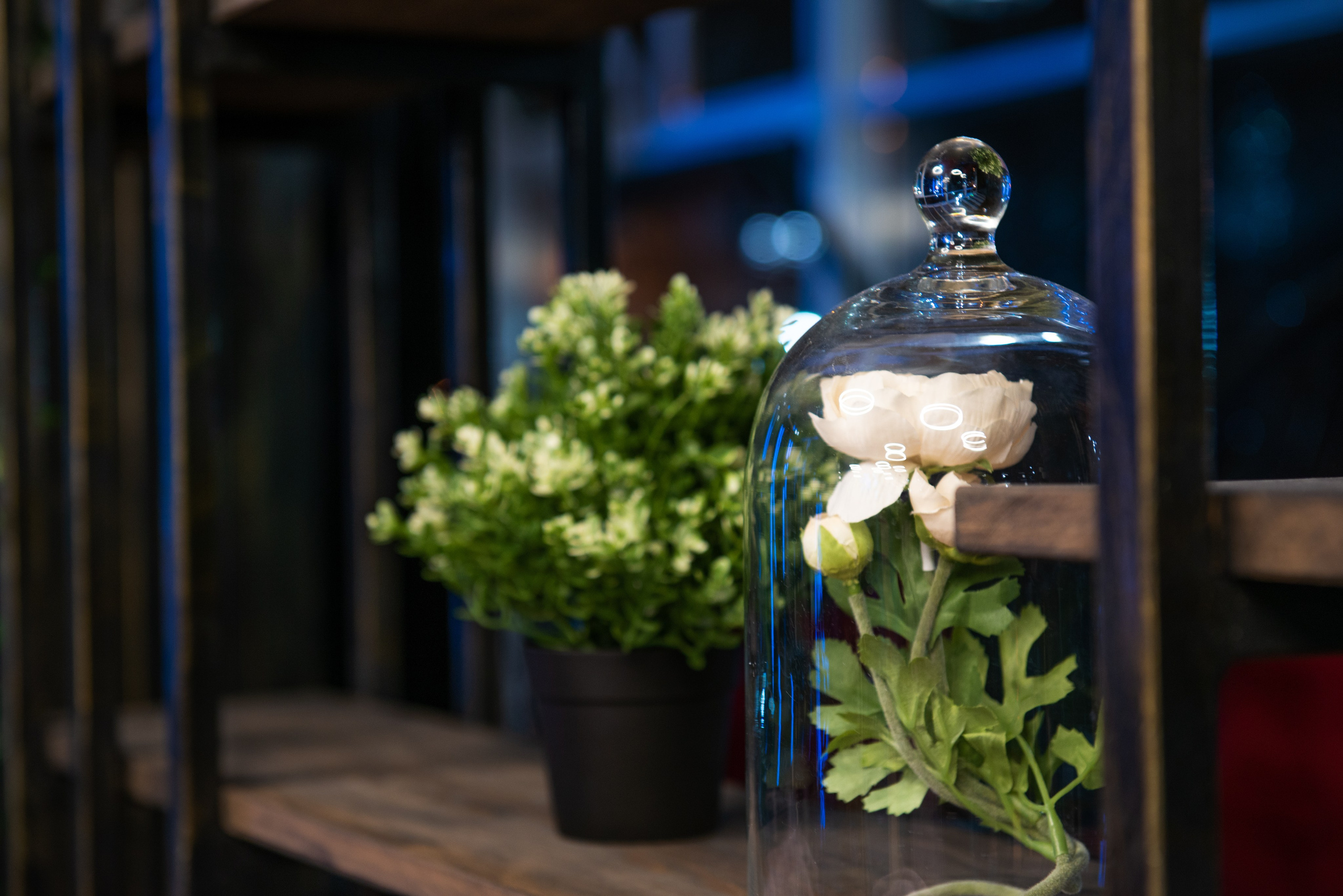 Кальянная Мята Platinum Химки. ФОТОГРАФ МЕКСИКА КИНТАНА-РОО