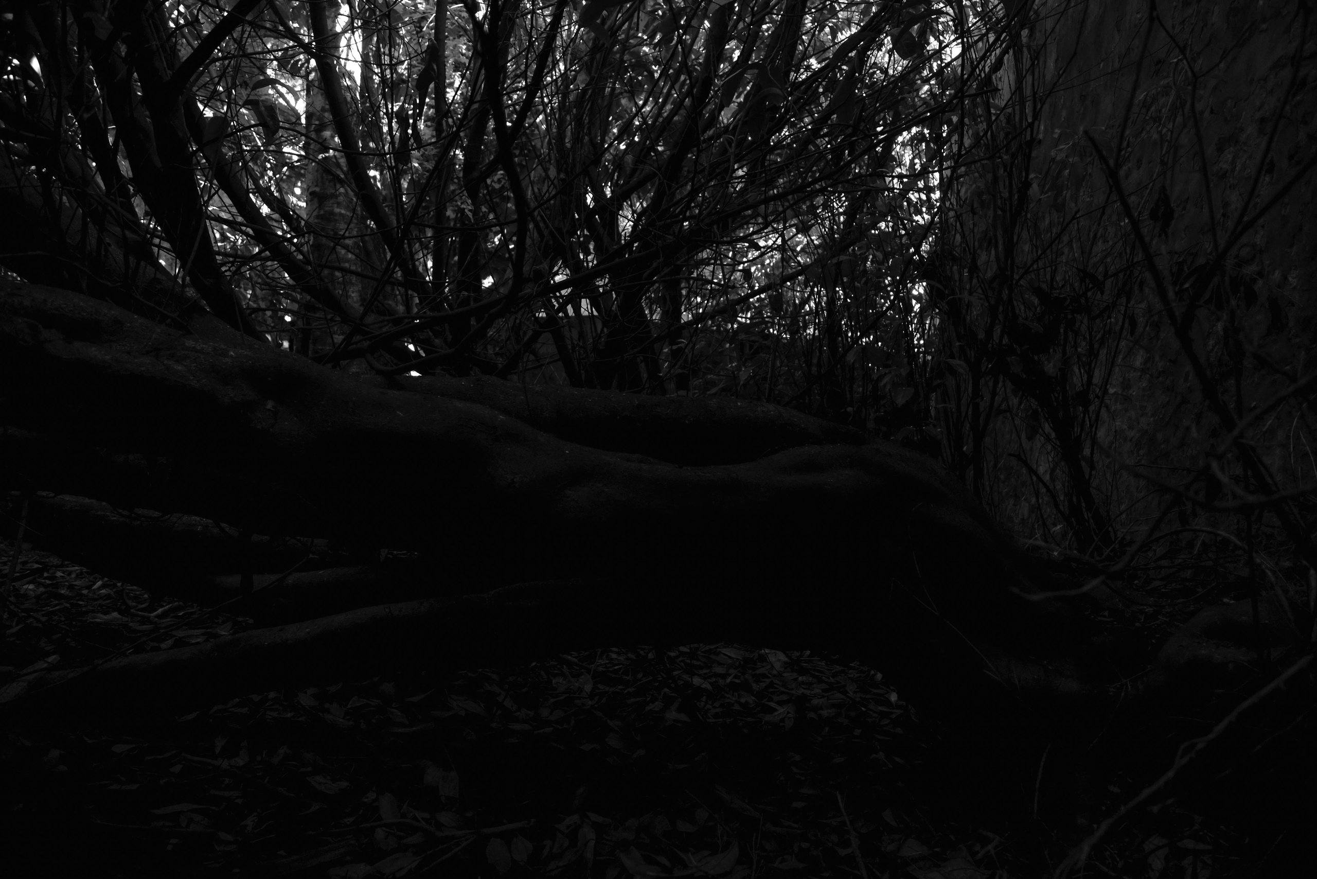 Fécamp patrimoine. Natalia Bogdanovska. Films et photographie corporate en France