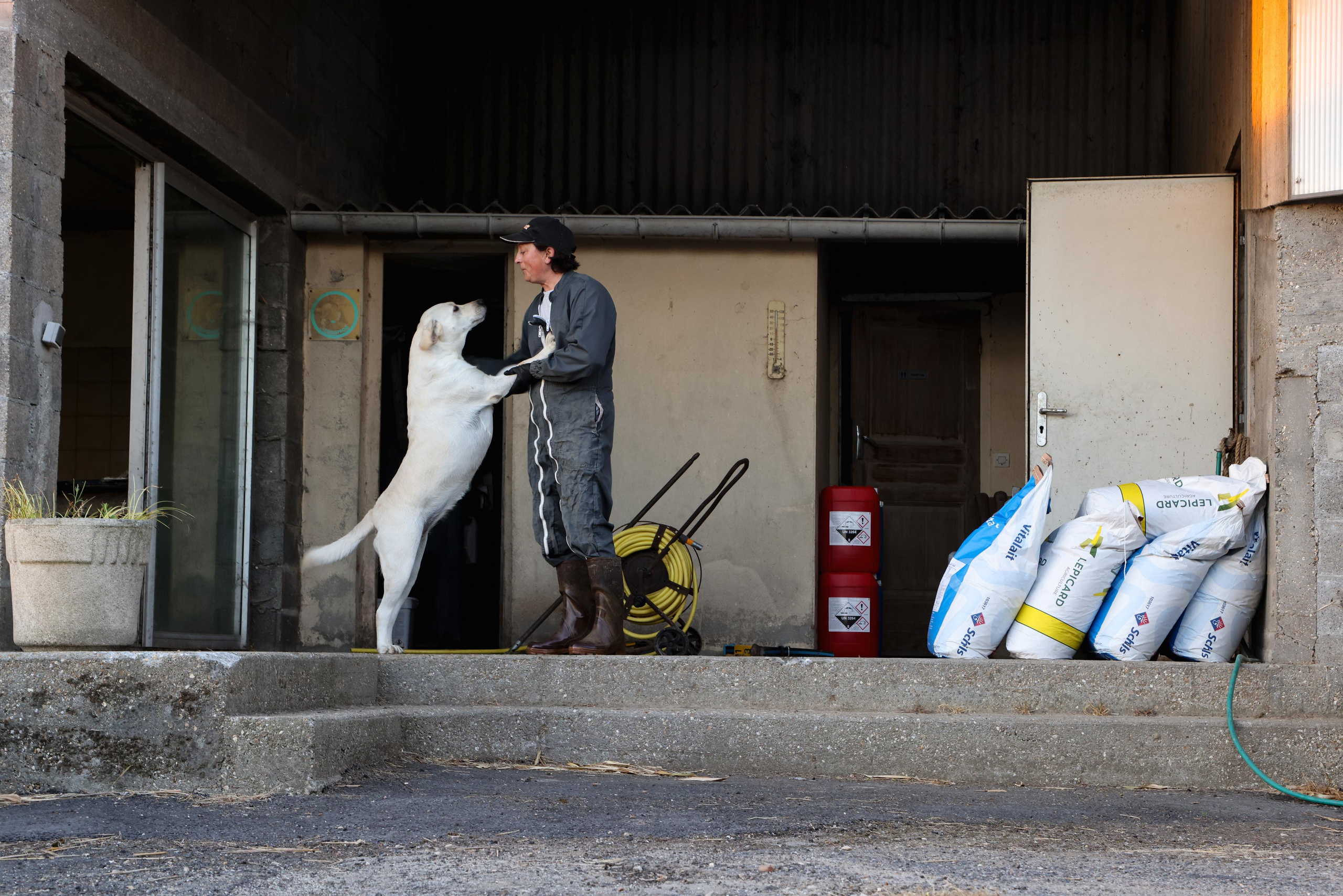 La Ferme. Natalia Bogdanovska. Films et photographie corporate en France