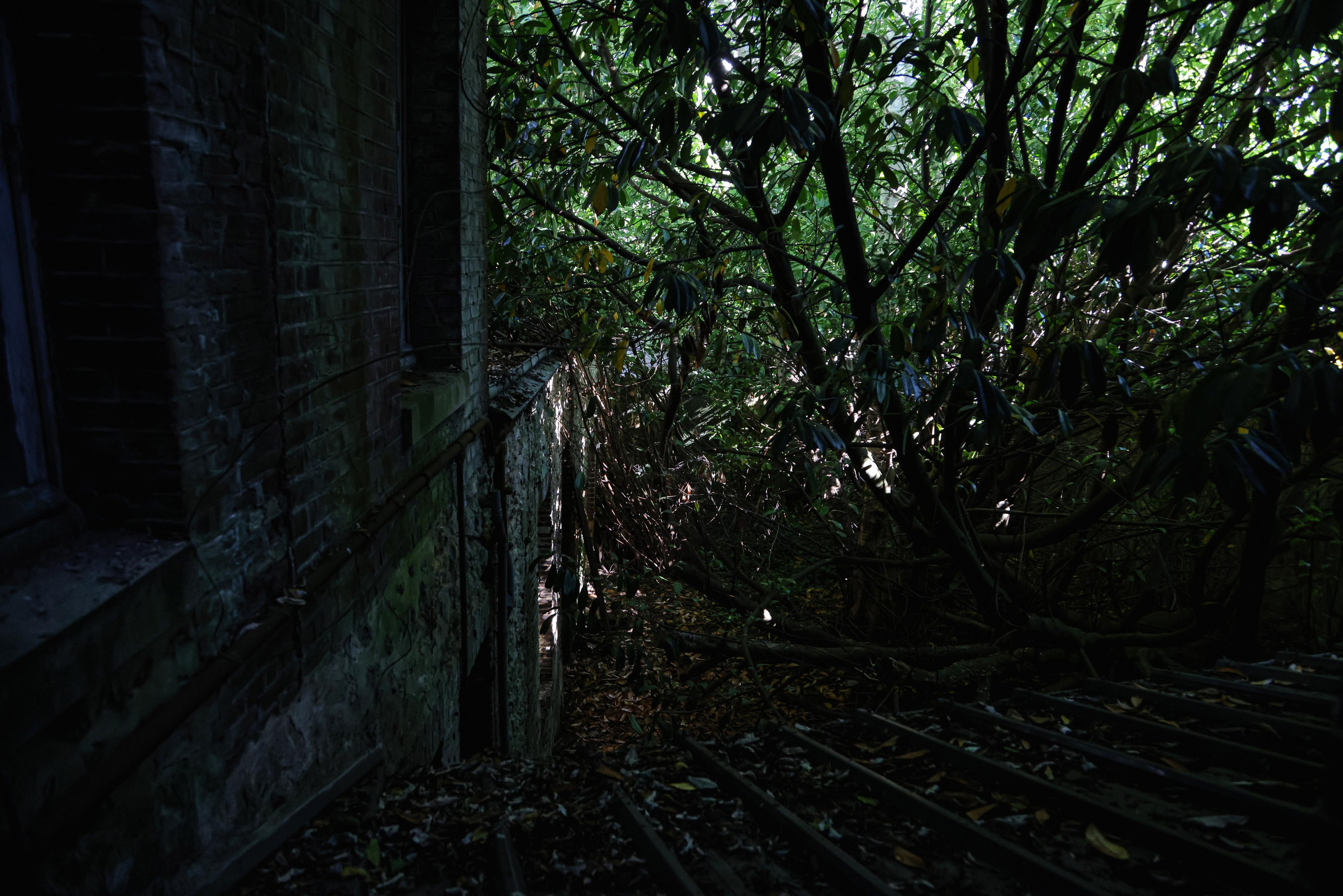 Fécamp patrimoine. Natalia Bogdanovska. Films et photographie corporate en France