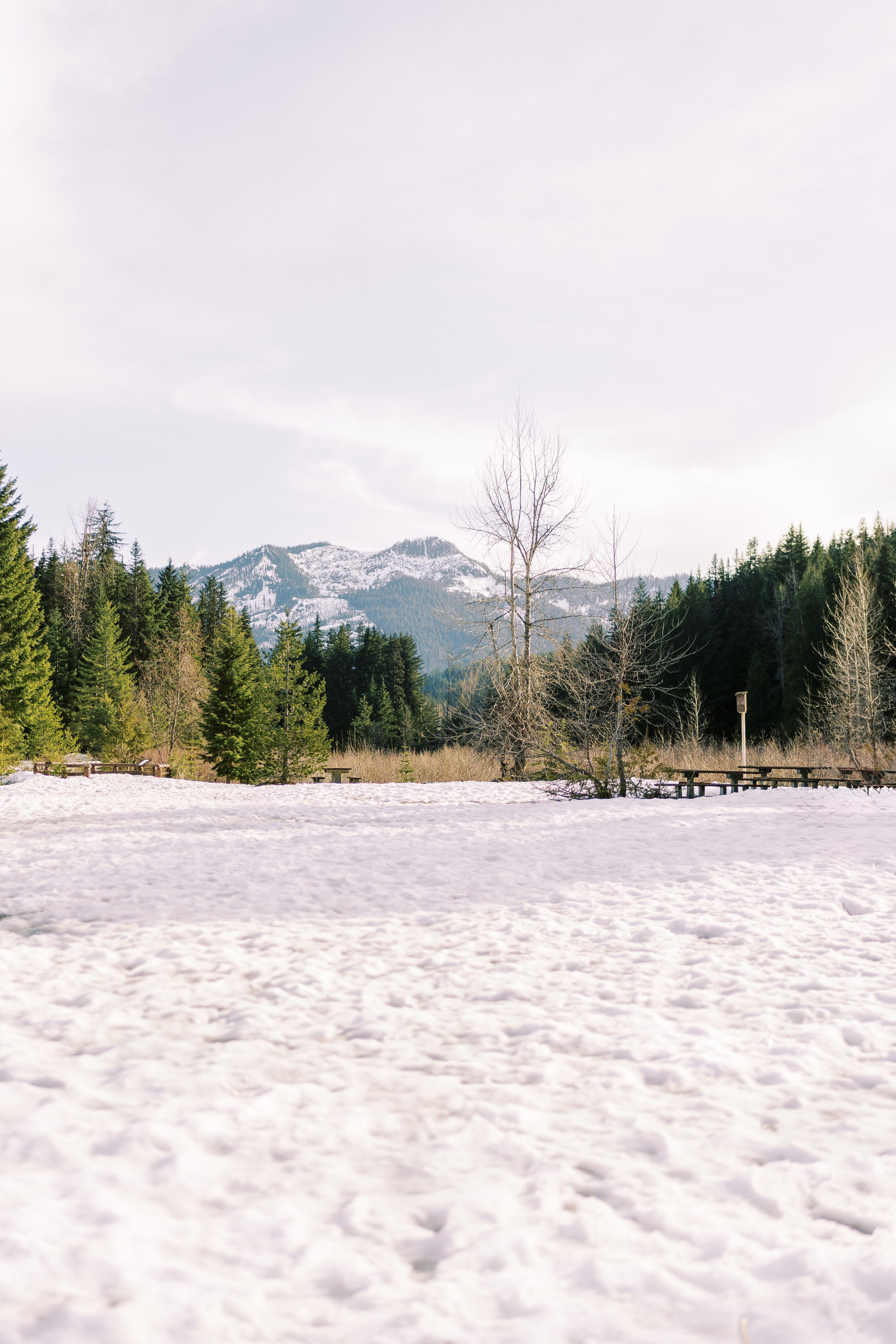 Engagement photo shoot Caitlyn & Riley / April 2024. Gold Creek Pond, WA. EVAN ARISTOV WEDDING PHOTOGRAPHY — Seattle Wedding Photographer