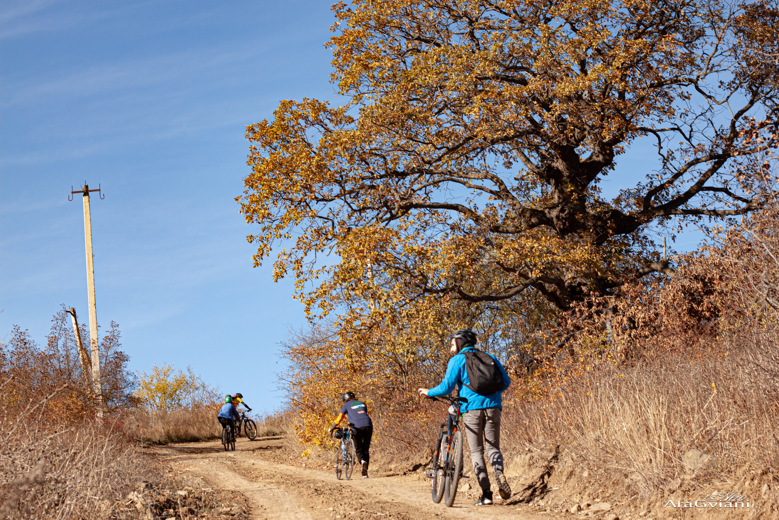 ჰიპოველოს შემოდგომის ველოტური წვერში. FramefreeMan