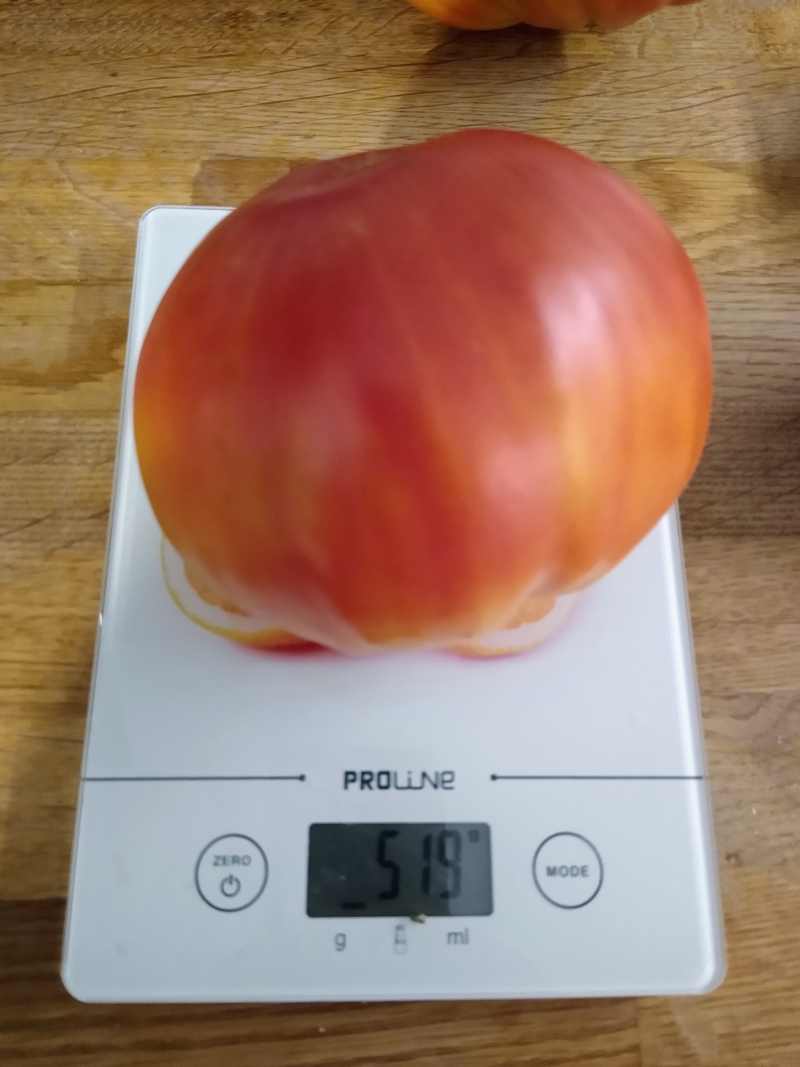 August. Kiki-Niki-Cha! Learn, play, and discover with us!