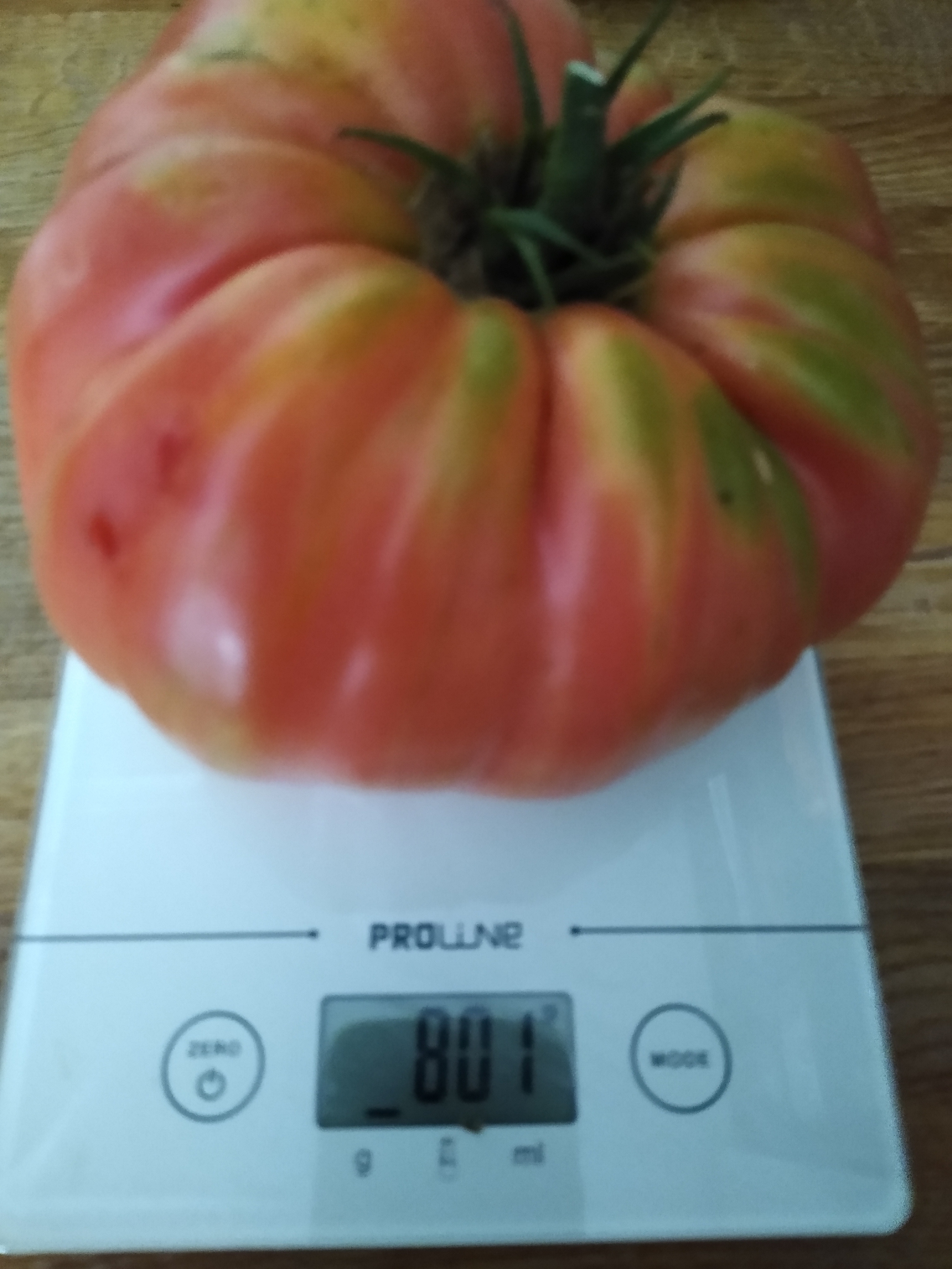 August. Kiki-Niki-Cha! Learn, play, and discover with us!