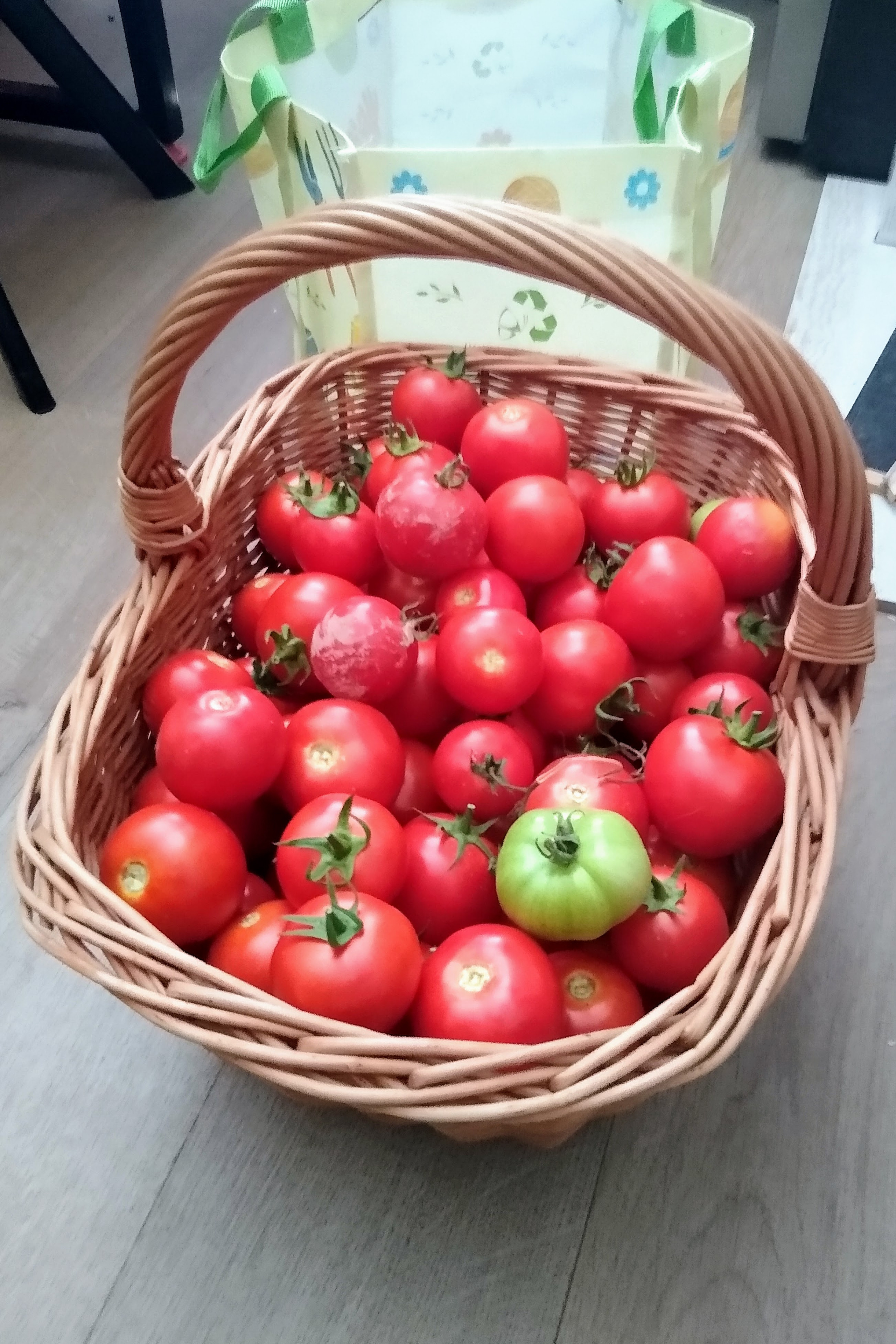 August. Kiki-Niki-Cha! Learn, play, and discover with us!