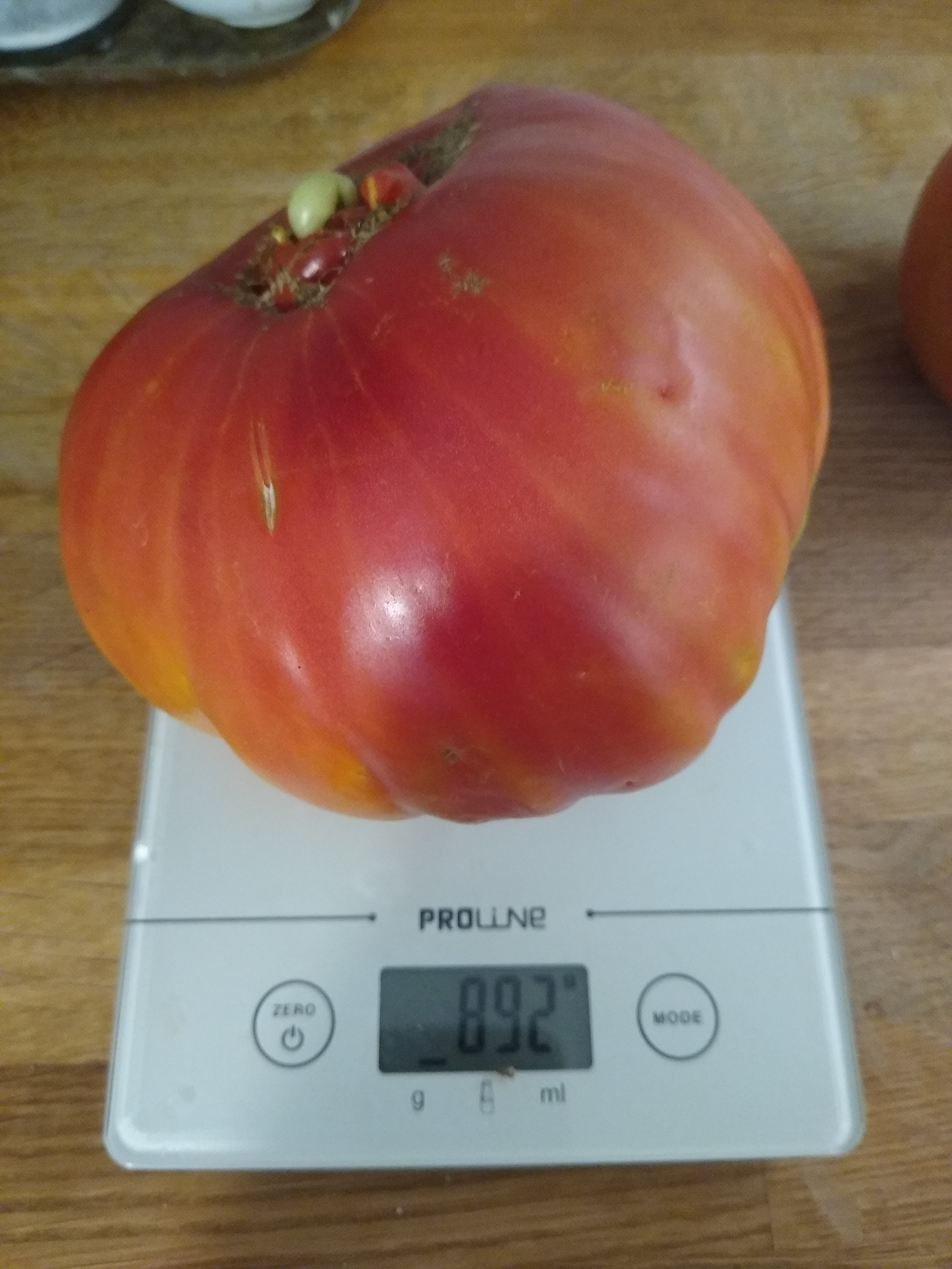 August. Kiki-Niki-Cha! Learn, play, and discover with us!