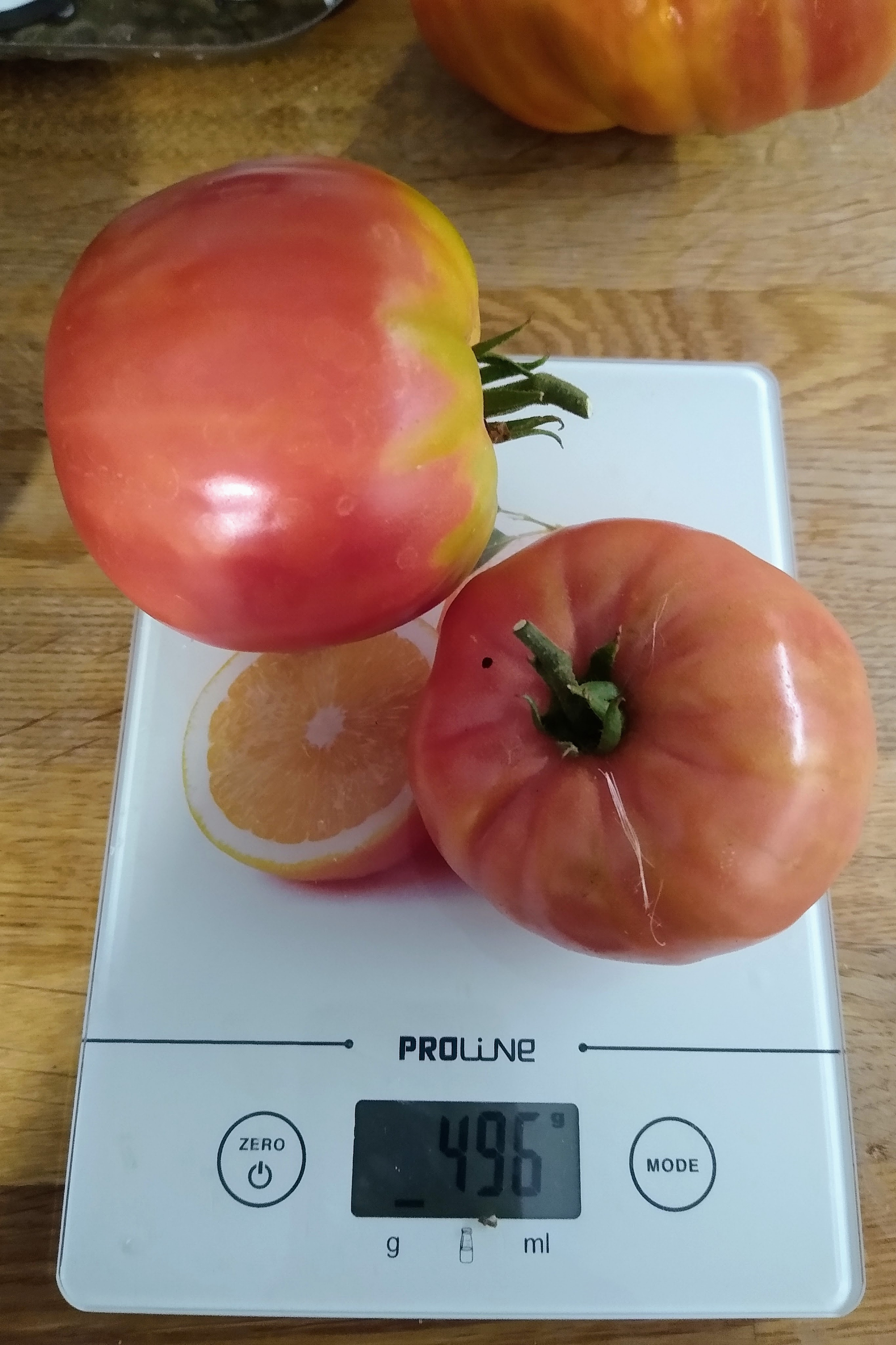 August. Kiki-Niki-Cha! Learn, play, and discover with us!