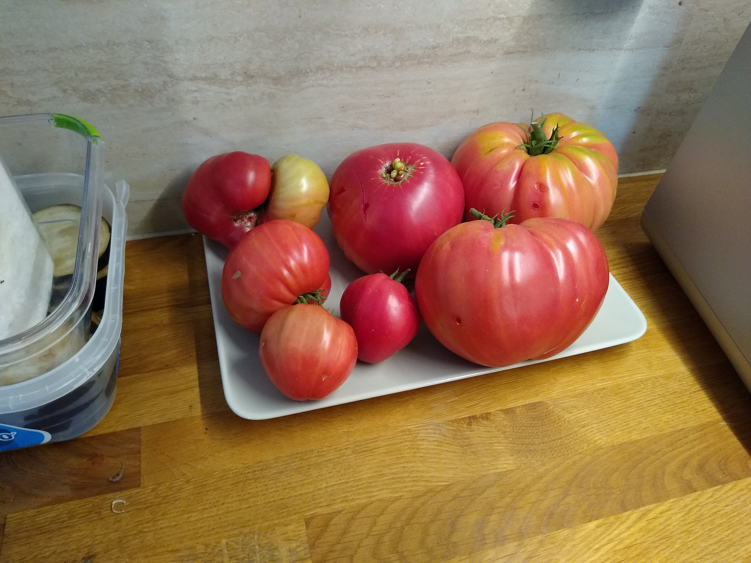 August. Kiki-Niki-Cha! Learn, play, and discover with us!