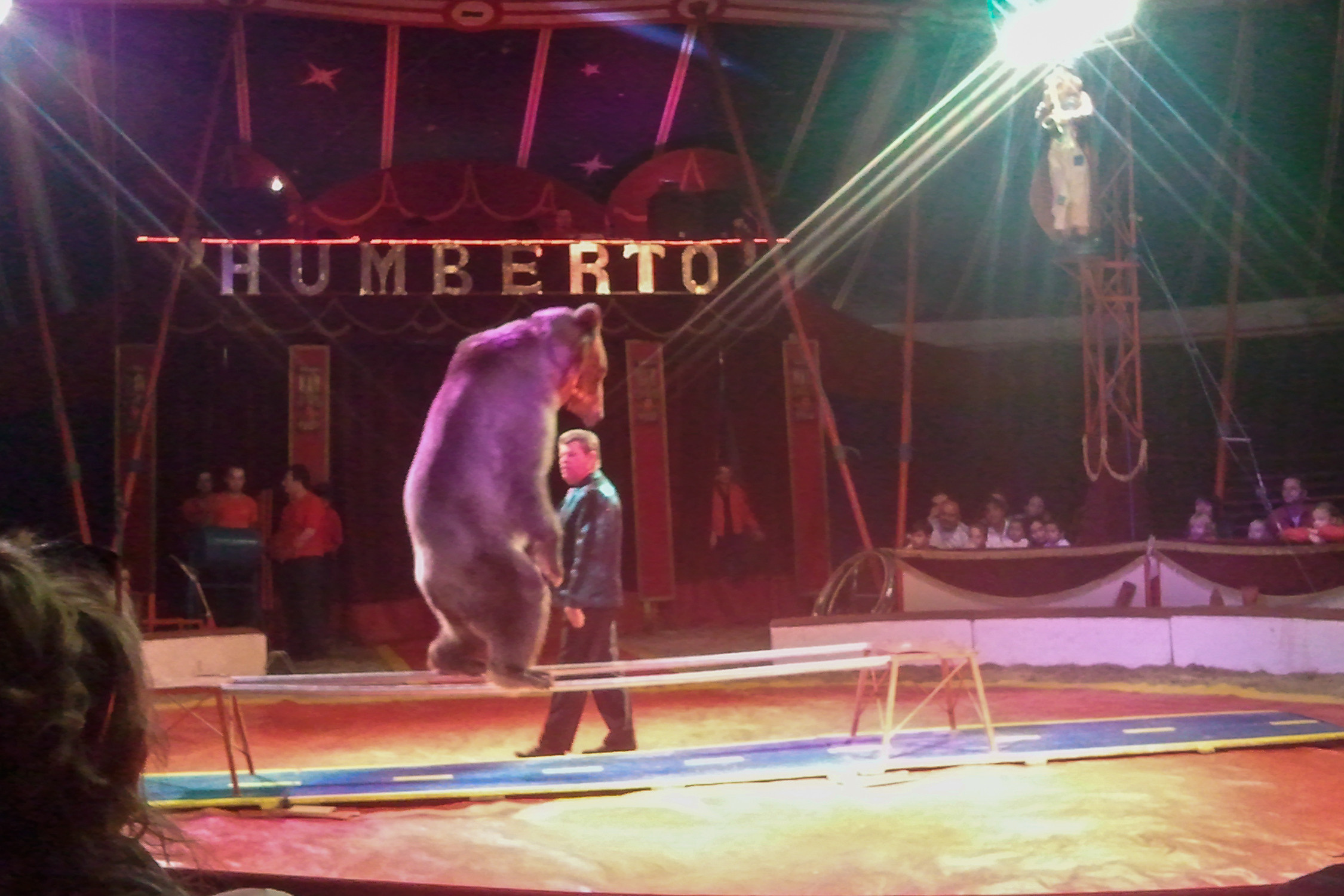 Humberto Circus. Kiki-Niki-Cha! Learn, play, and discover with us!