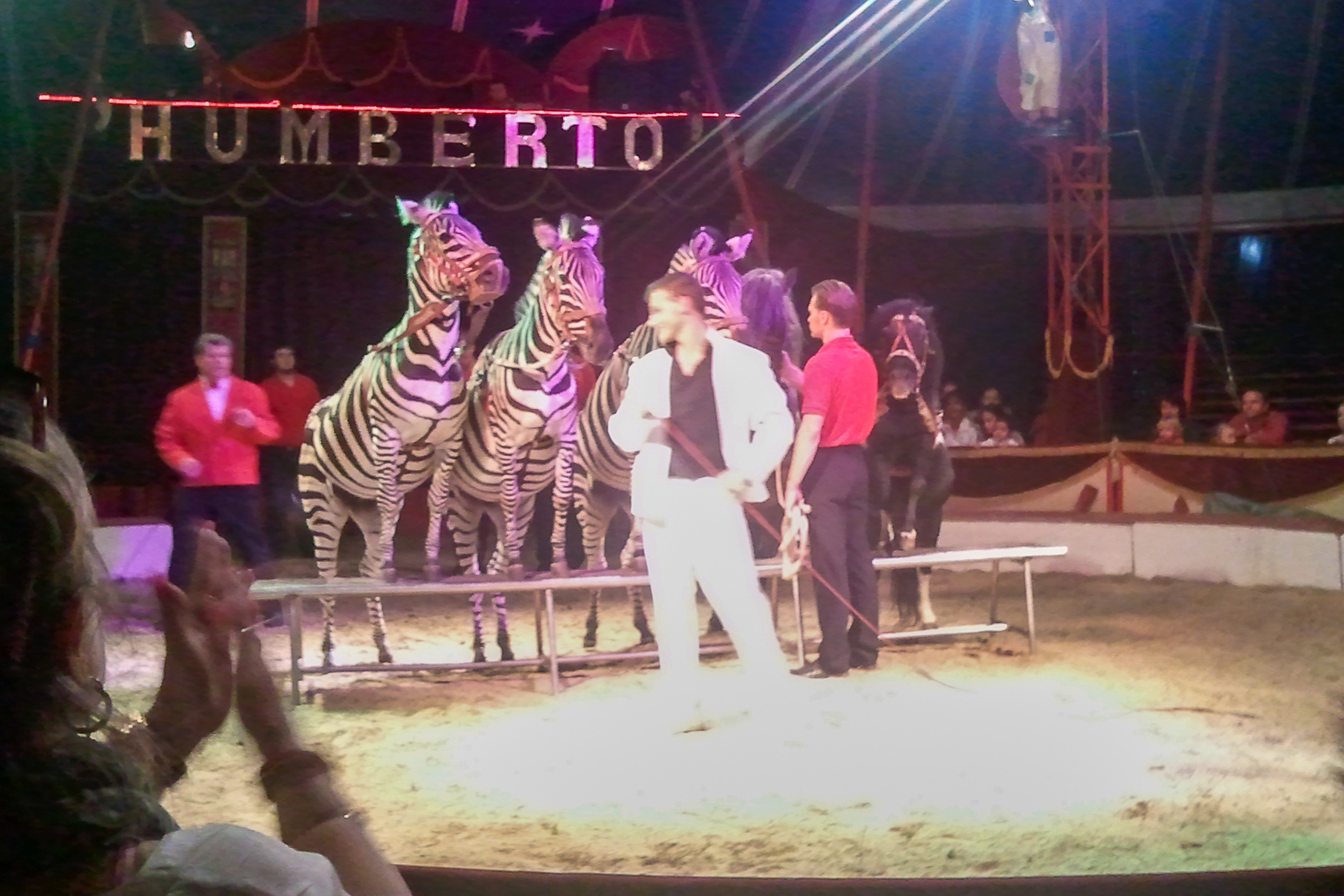 Humberto Circus. Kiki-Niki-Cha! Learn, play, and discover with us!