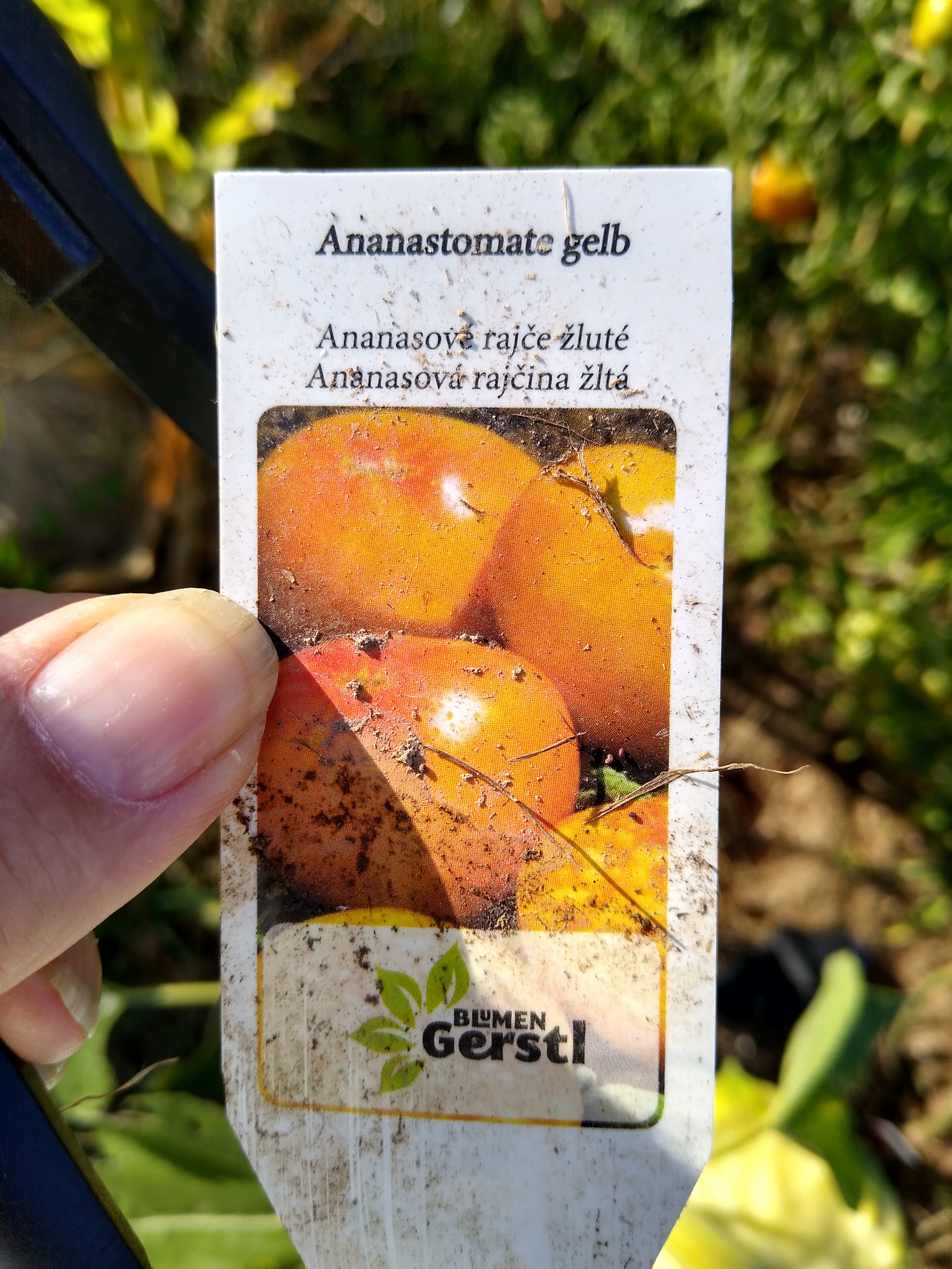 August. Kiki-Niki-Cha! Learn, play, and discover with us!