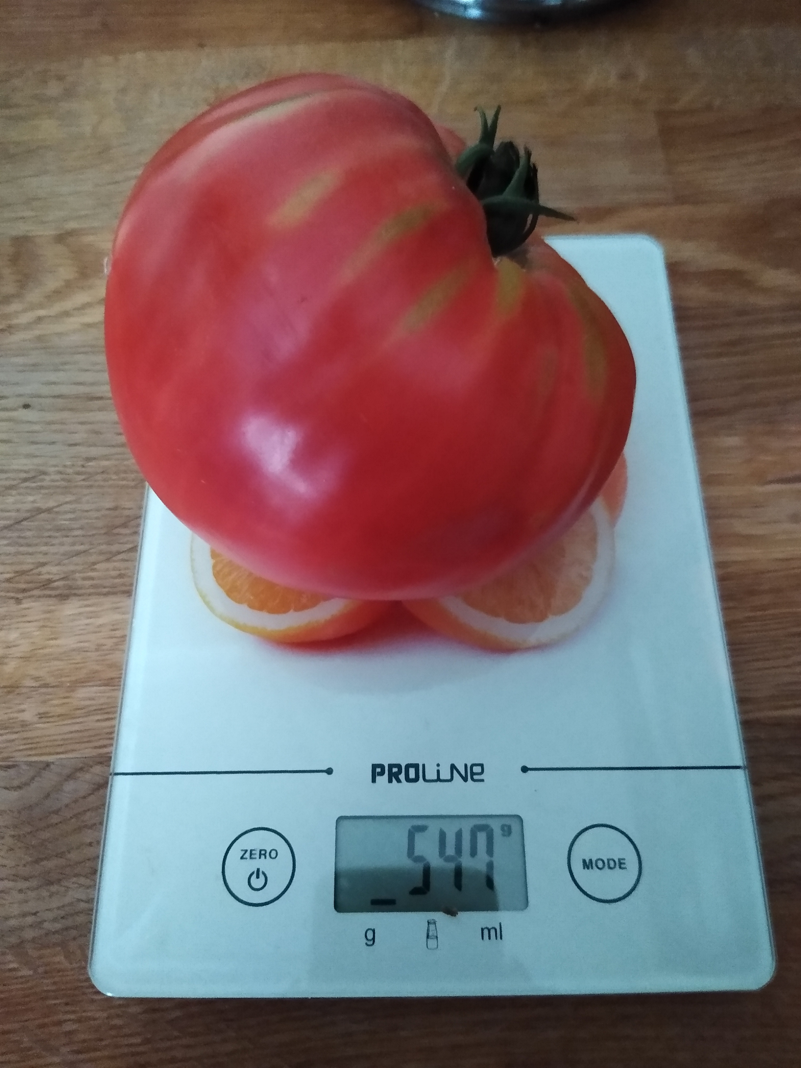 August. Kiki-Niki-Cha! Learn, play, and discover with us!