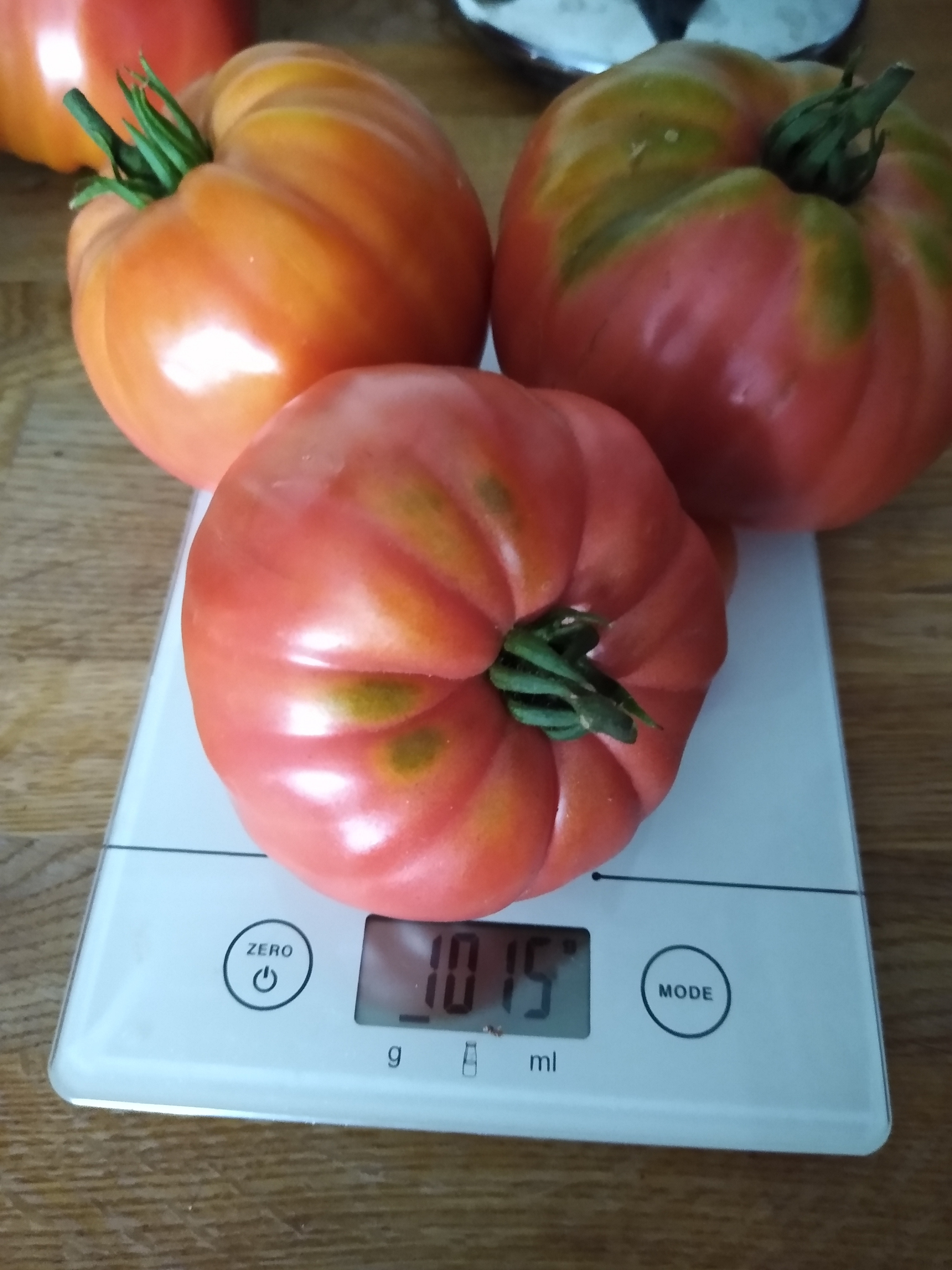 August. Kiki-Niki-Cha! Learn, play, and discover with us!