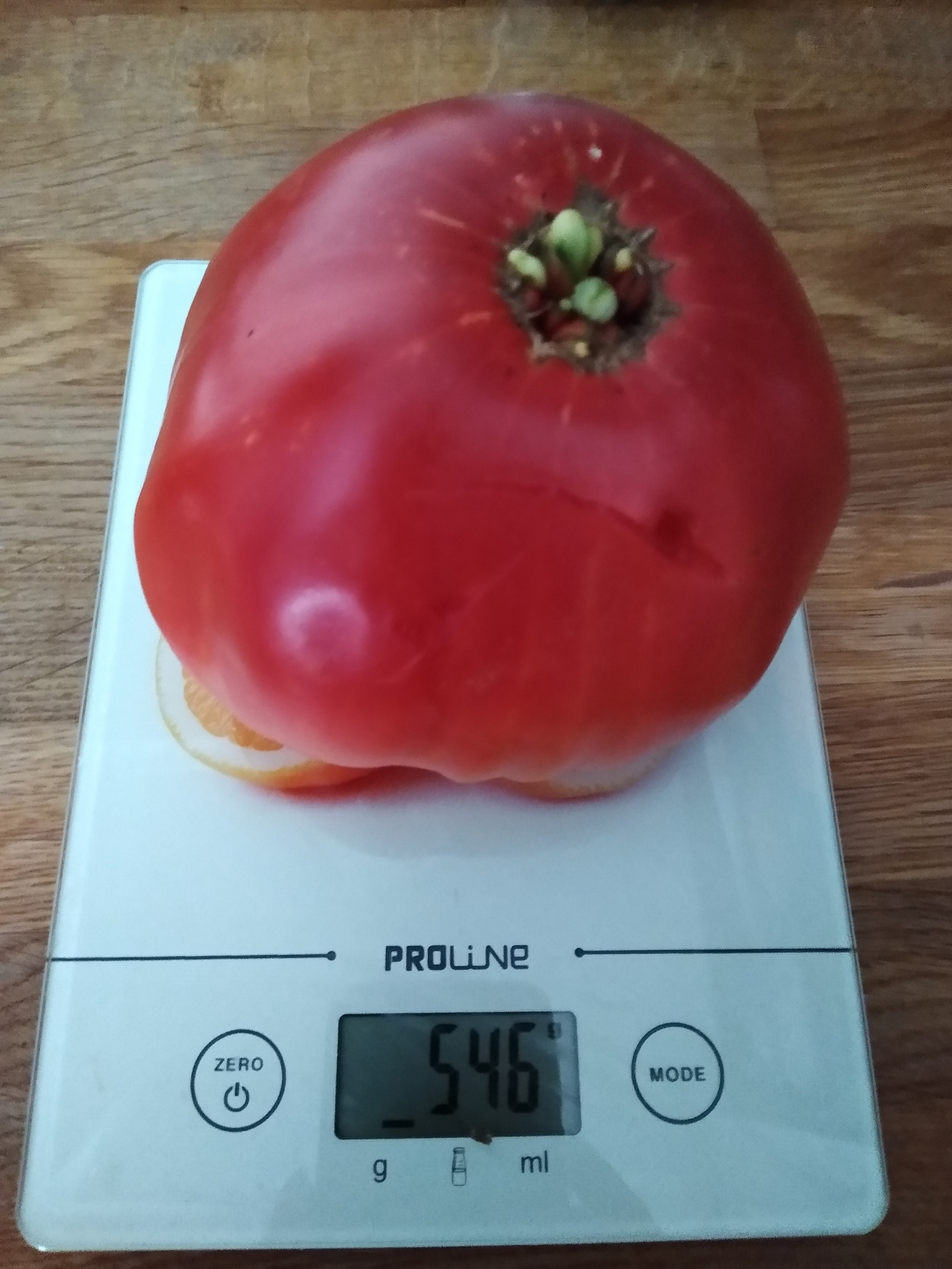 August. Kiki-Niki-Cha! Learn, play, and discover with us!