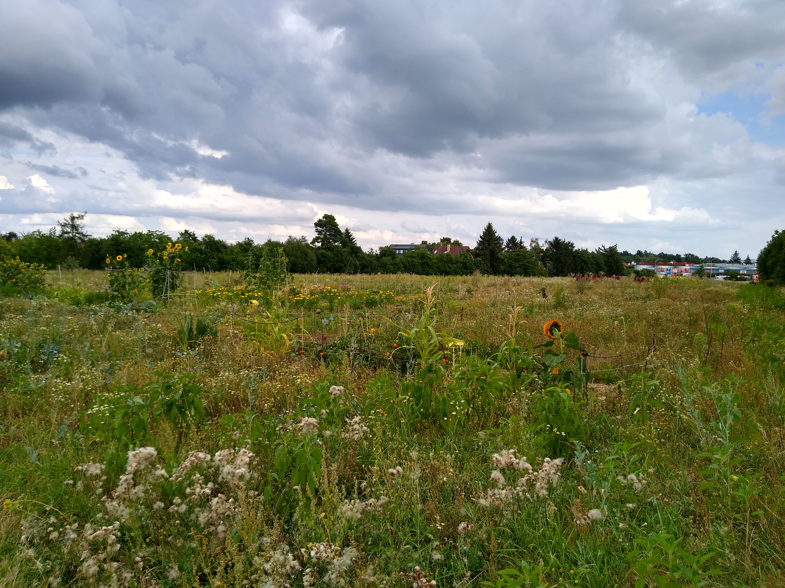 August. Kiki-Niki-Cha! Learn, play, and discover with us!