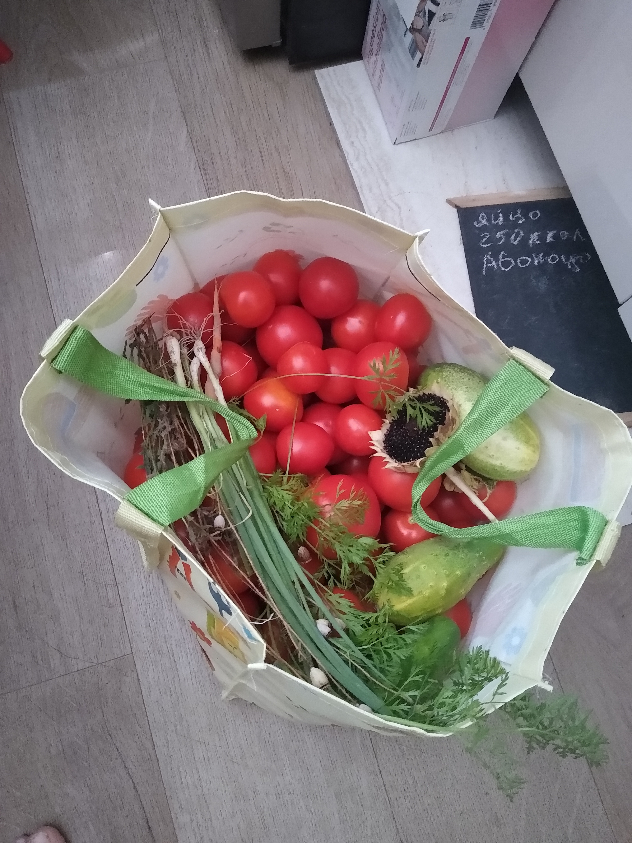 August. Kiki-Niki-Cha! Learn, play, and discover with us!