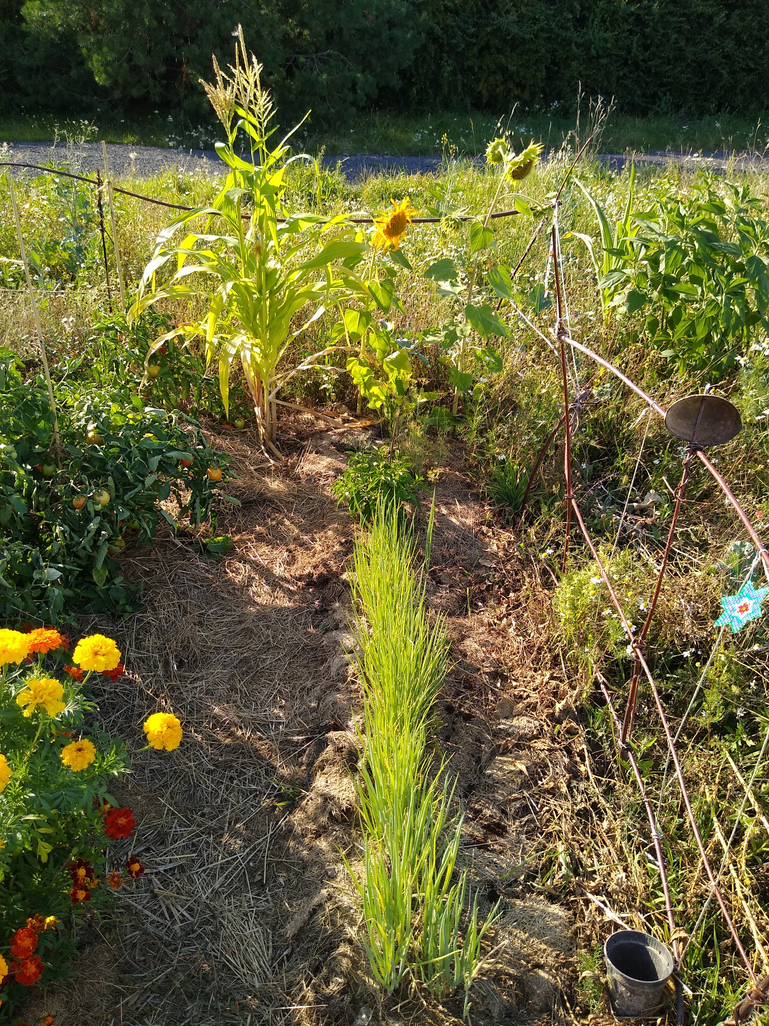 August. Kiki-Niki-Cha! Learn, play, and discover with us!