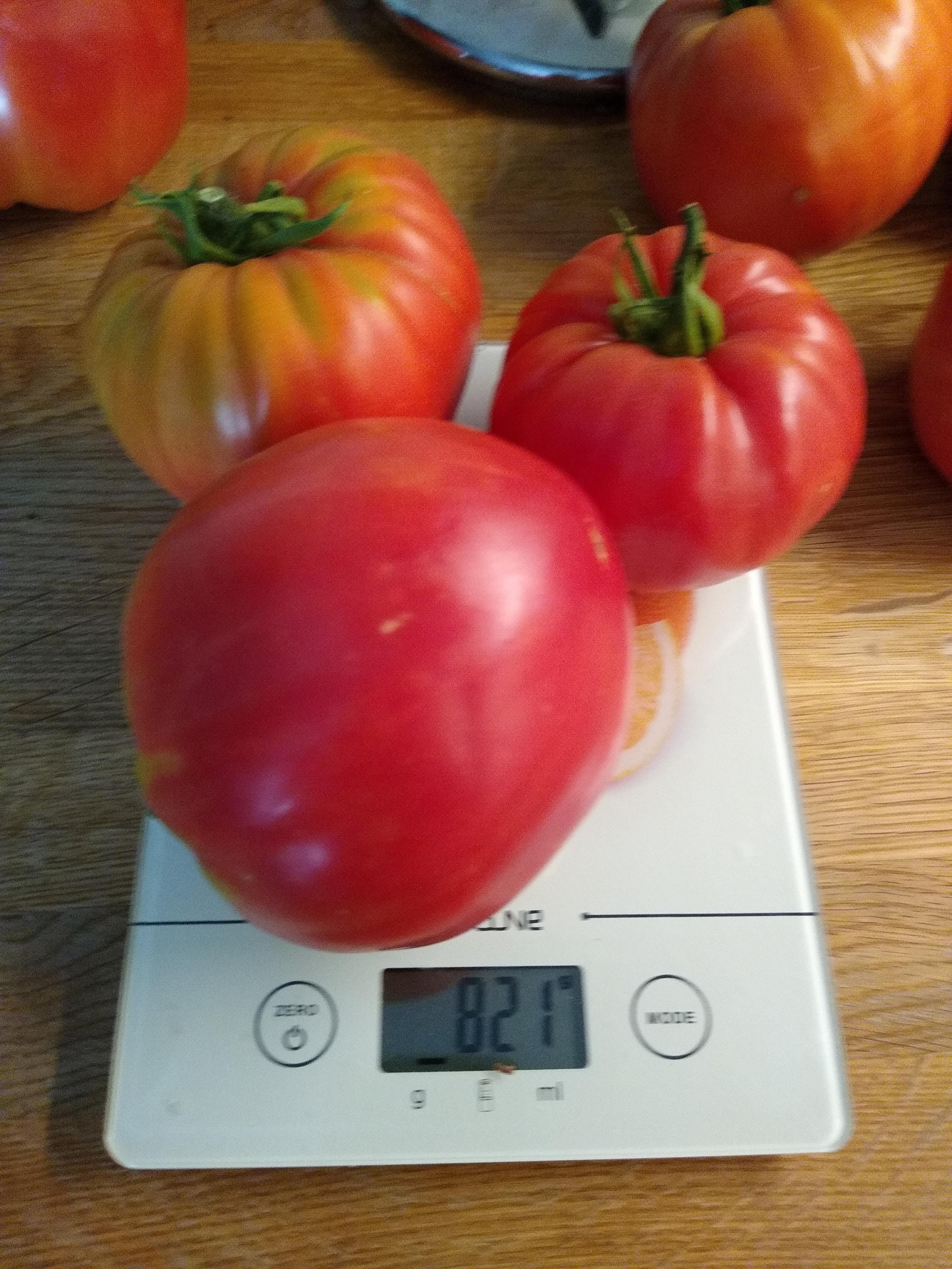 August. Kiki-Niki-Cha! Learn, play, and discover with us!