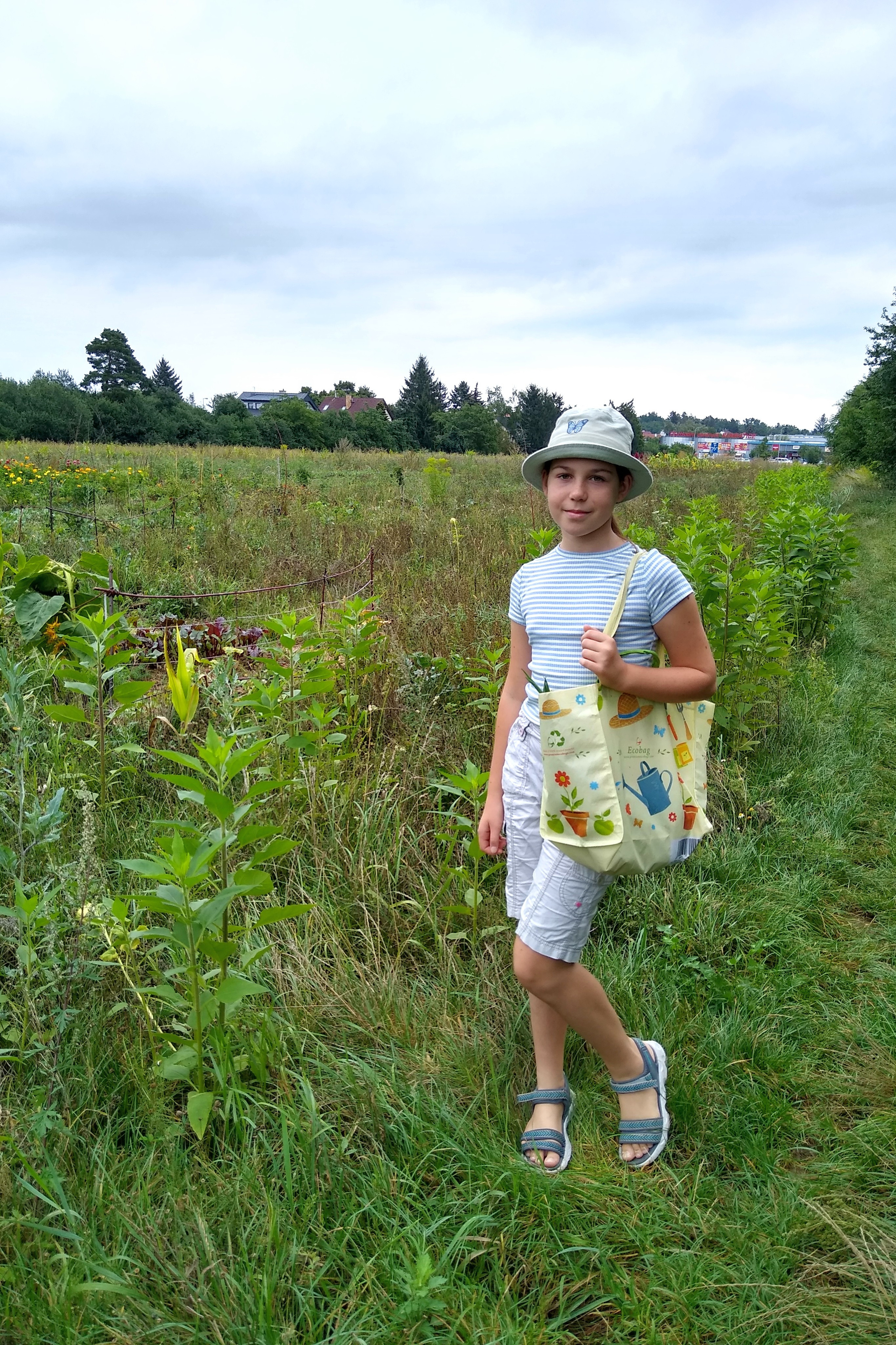 August. Kiki-Niki-Cha! Learn, play, and discover with us!