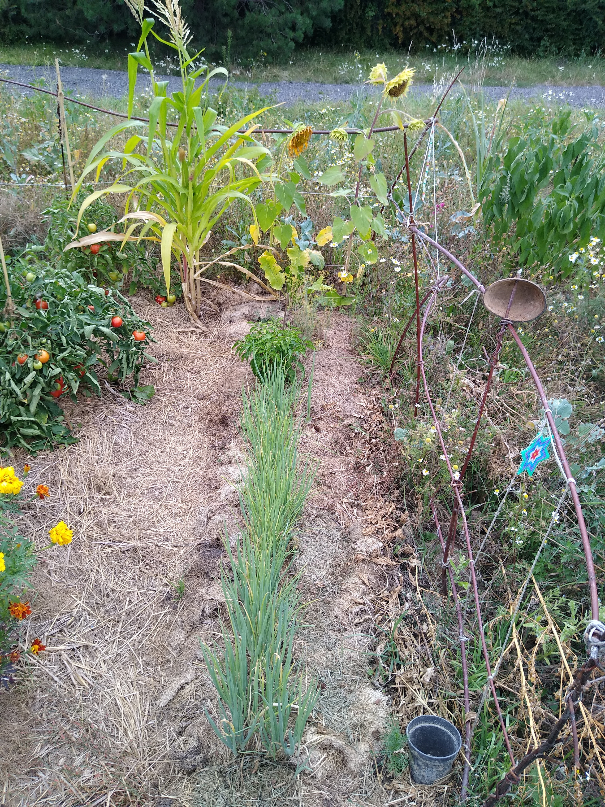 August. Kiki-Niki-Cha! Learn, play, and discover with us!