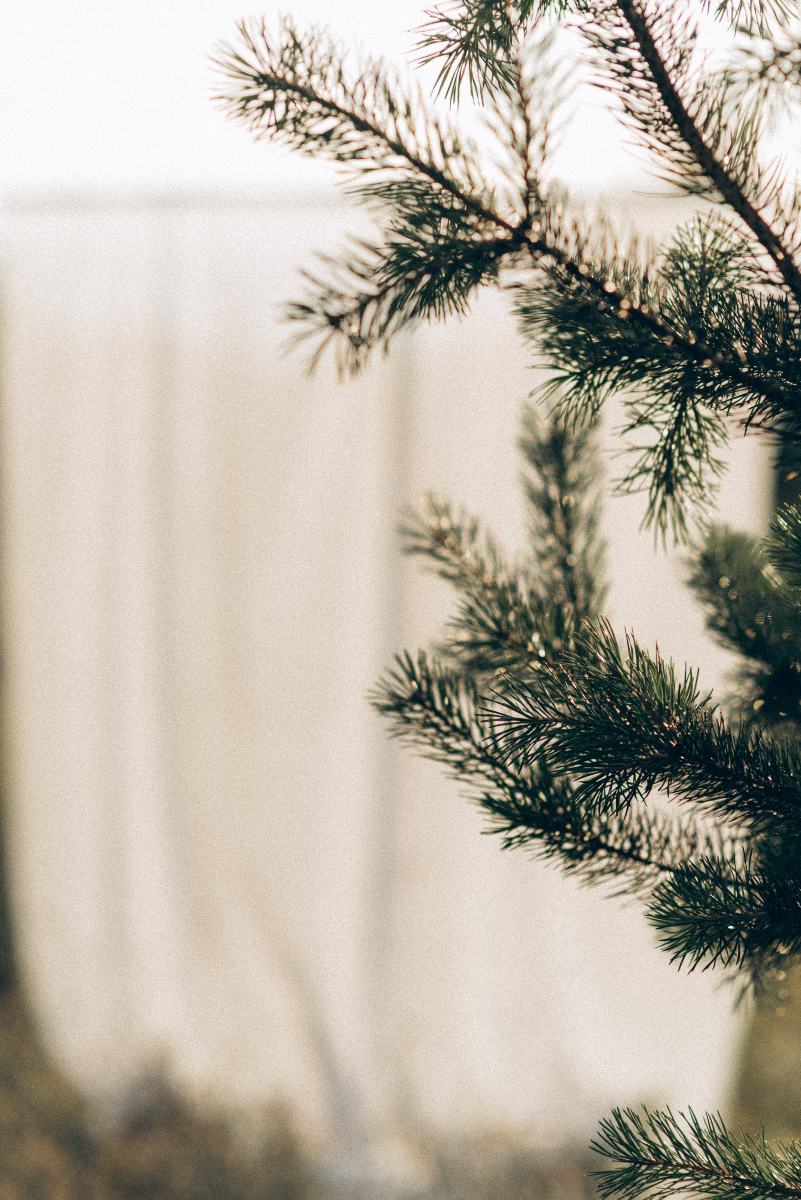 Летний закат. Семейный фотограф и фотограф новорожденных в Вильнюсе Ирина Беленкевич