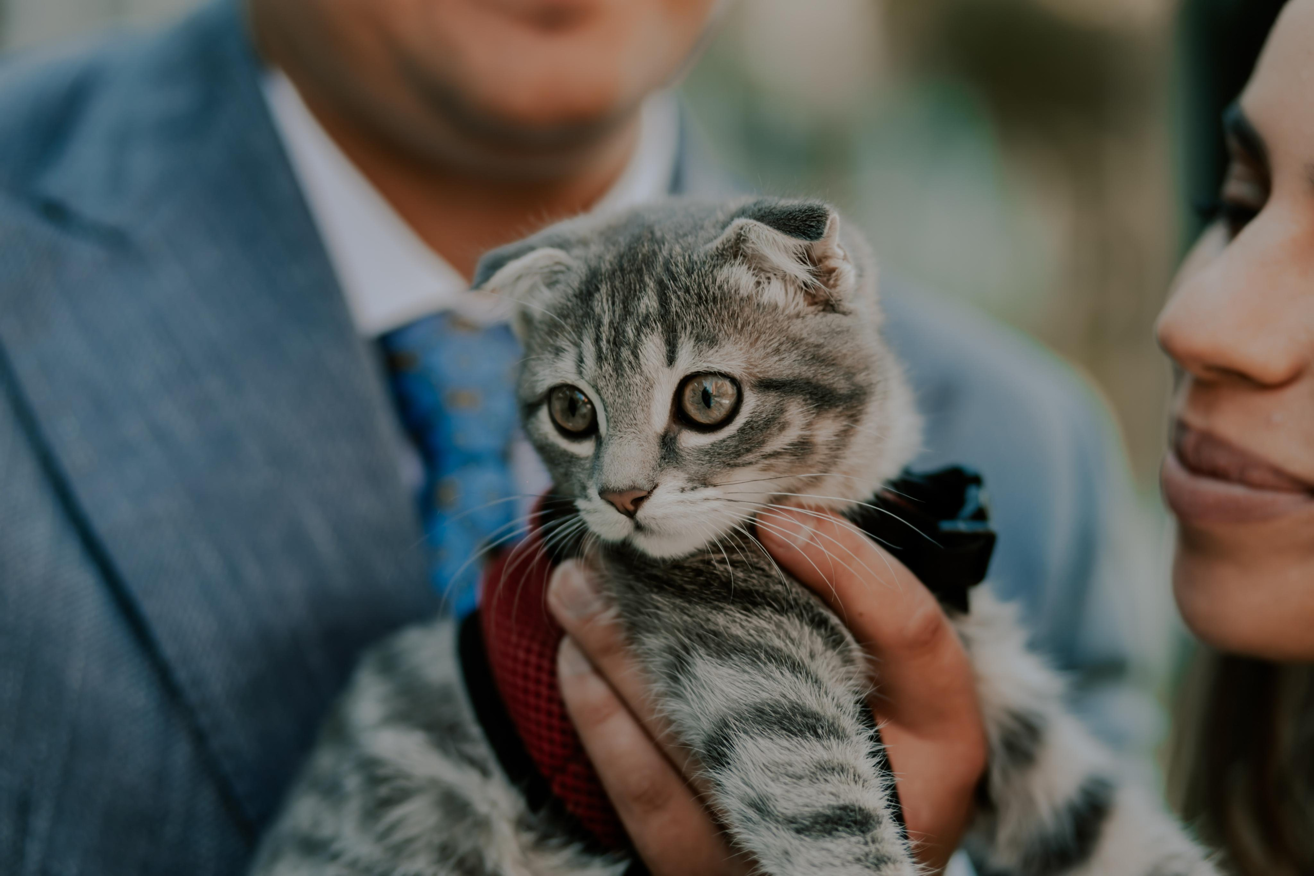 Фото & Видео услуги📸