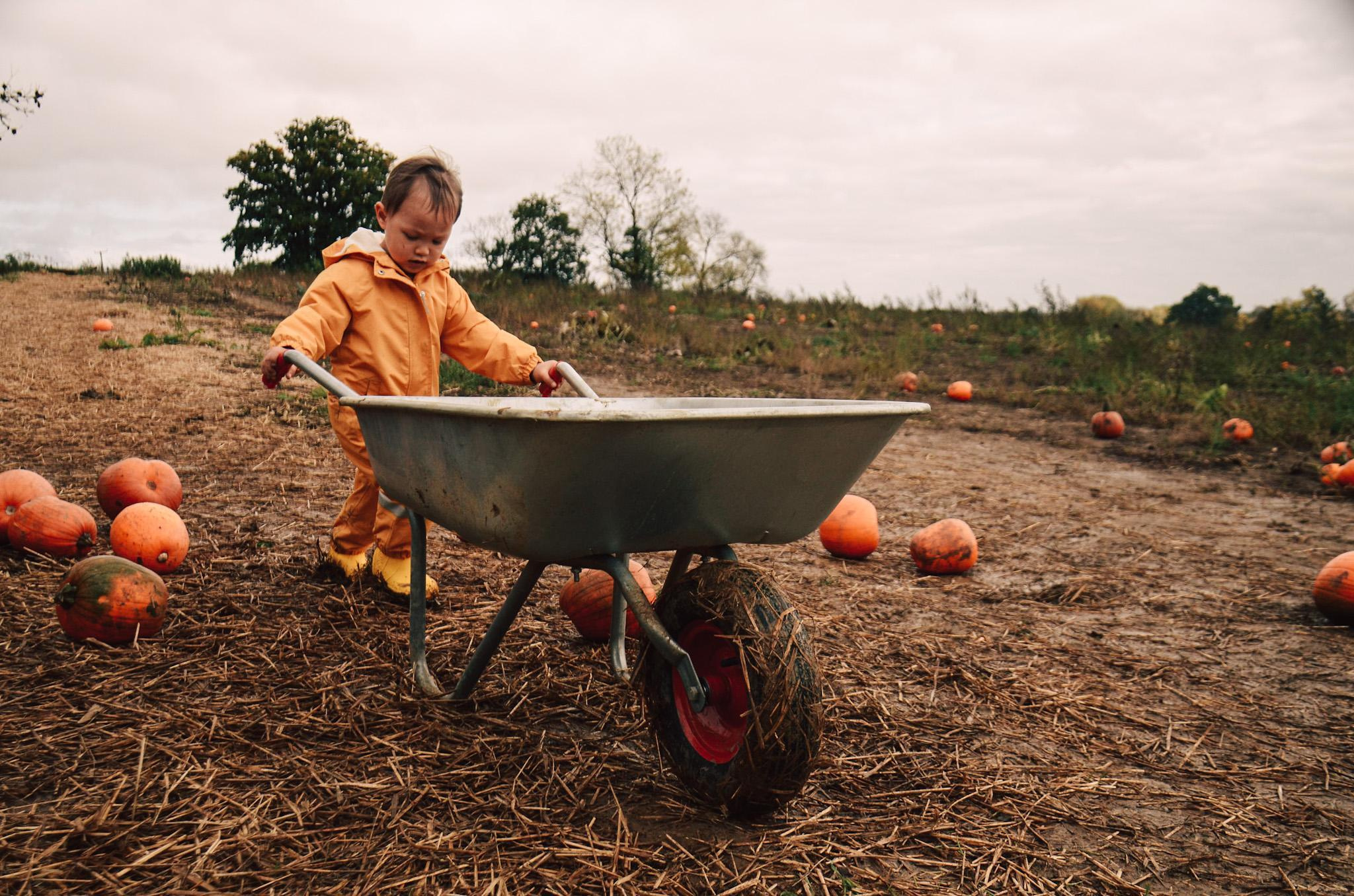 Lidia and family. Creative Family, Brand, Boudoir and Wedding Photographer in Solihull & Birmingham Irina Zoteeva