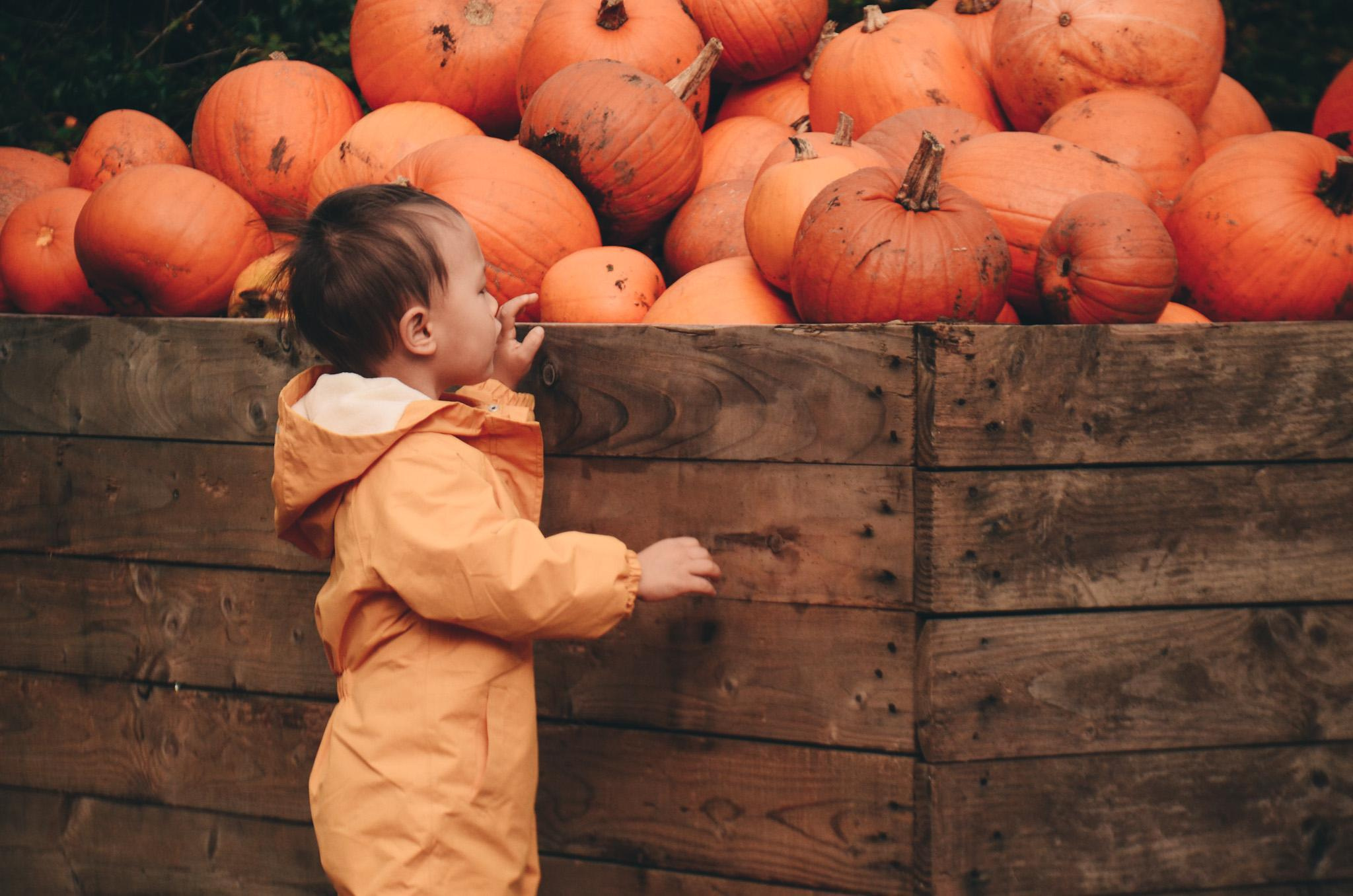 Lidia and family. Creative Family, Brand, Boudoir and Wedding Photographer in Solihull & Birmingham Irina Zoteeva