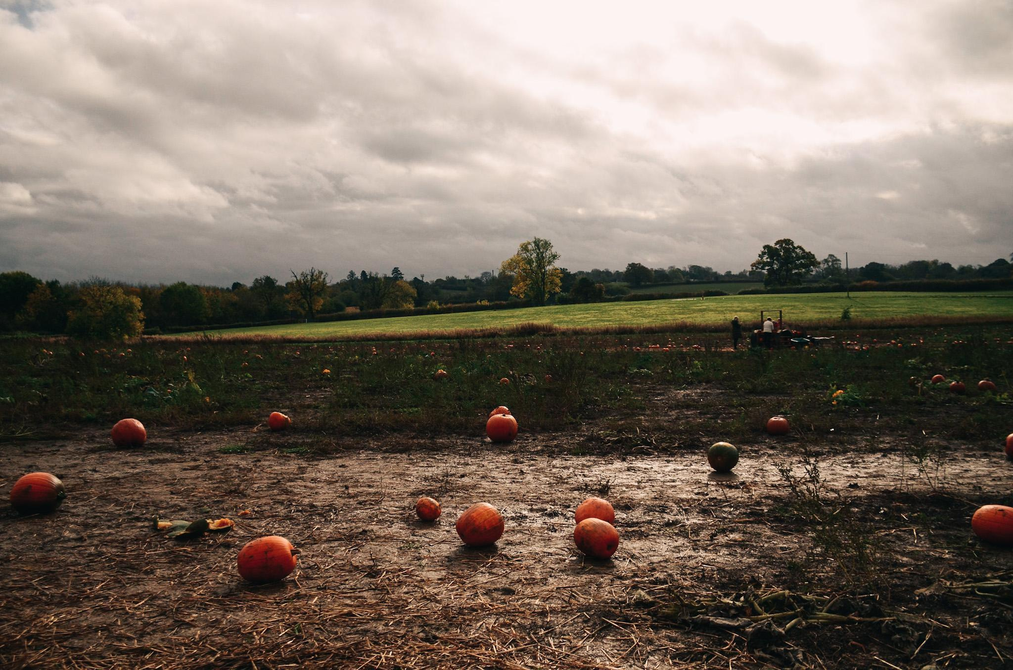 Lidia and family. Creative Family, Brand, Boudoir and Wedding Photographer in Solihull & Birmingham Irina Zoteeva