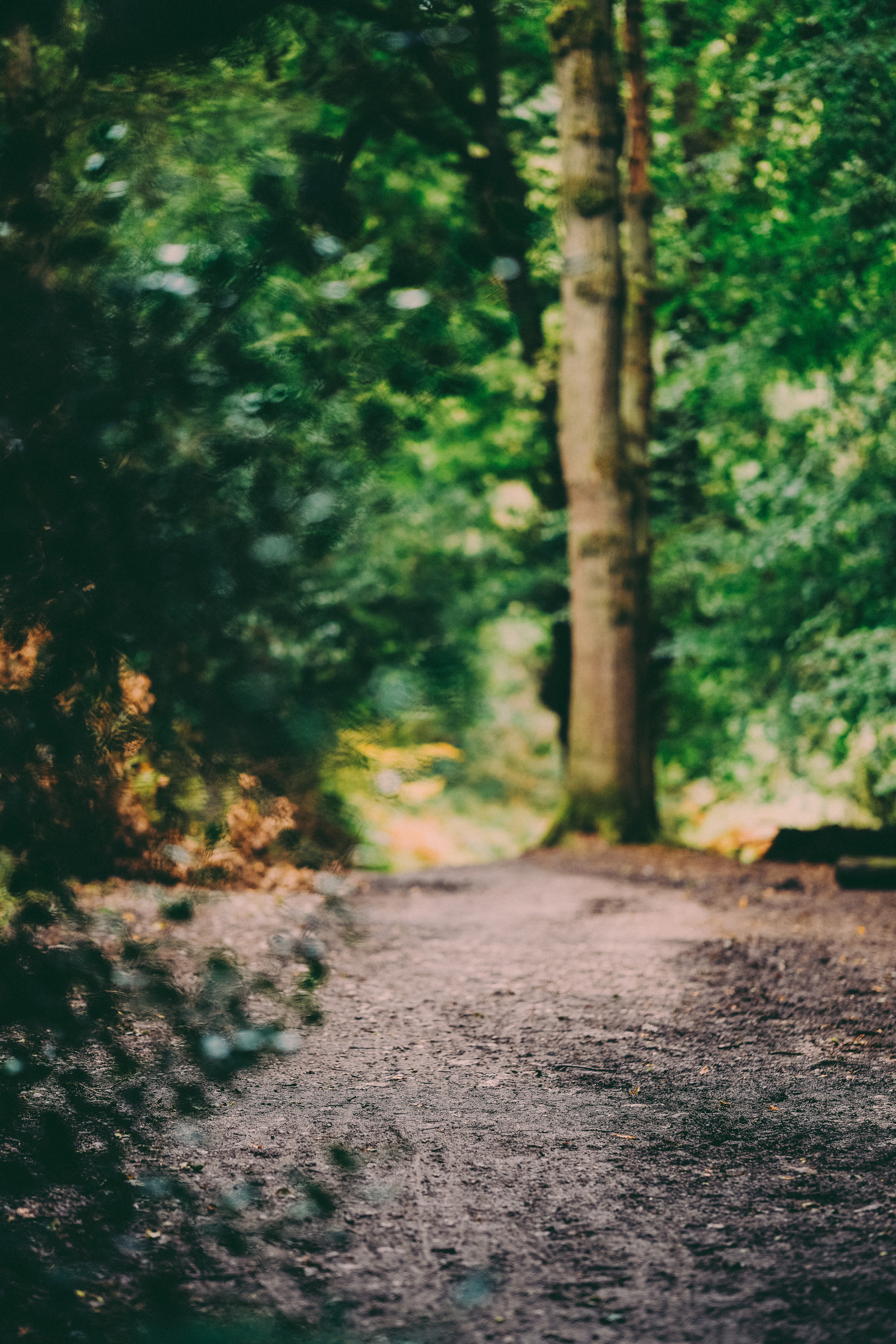 Fung Family. Creative Family, Brand, Boudoir and Wedding Photographer in Solihull & Birmingham Irina Zoteeva