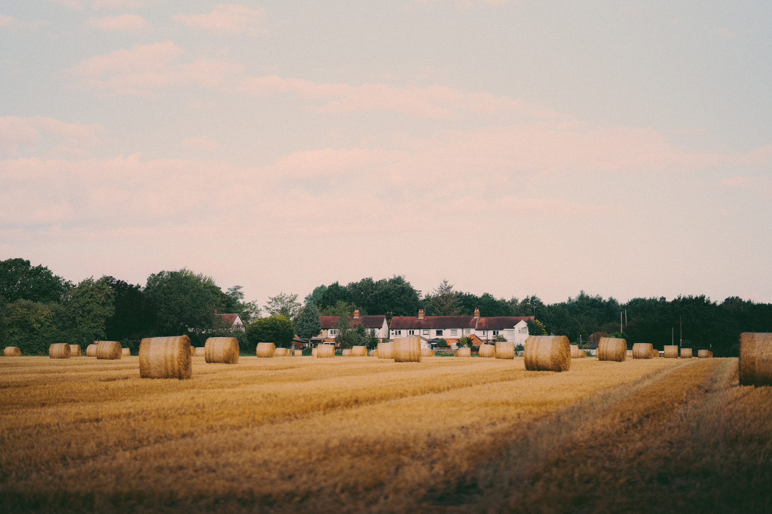 Individual photo session in Solihull. Creative Family, Brand, Boudoir and Wedding Photographer in Solihull & Birmingham Irina Zoteeva