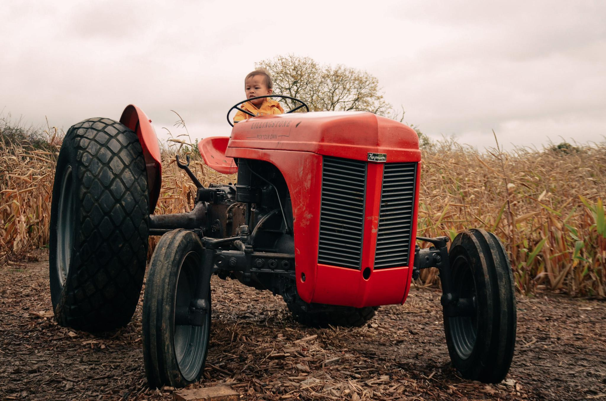 Lidia and family. Creative Family, Brand, Boudoir and Wedding Photographer in Solihull & Birmingham Irina Zoteeva