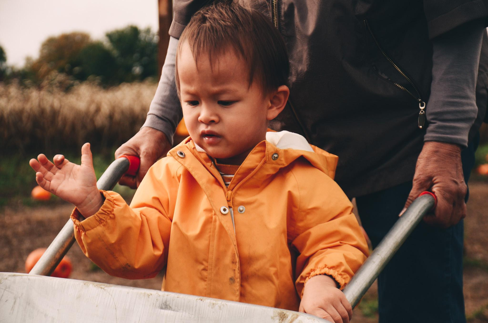 Lidia and family. Creative Family, Brand, Boudoir and Wedding Photographer in Solihull & Birmingham Irina Zoteeva