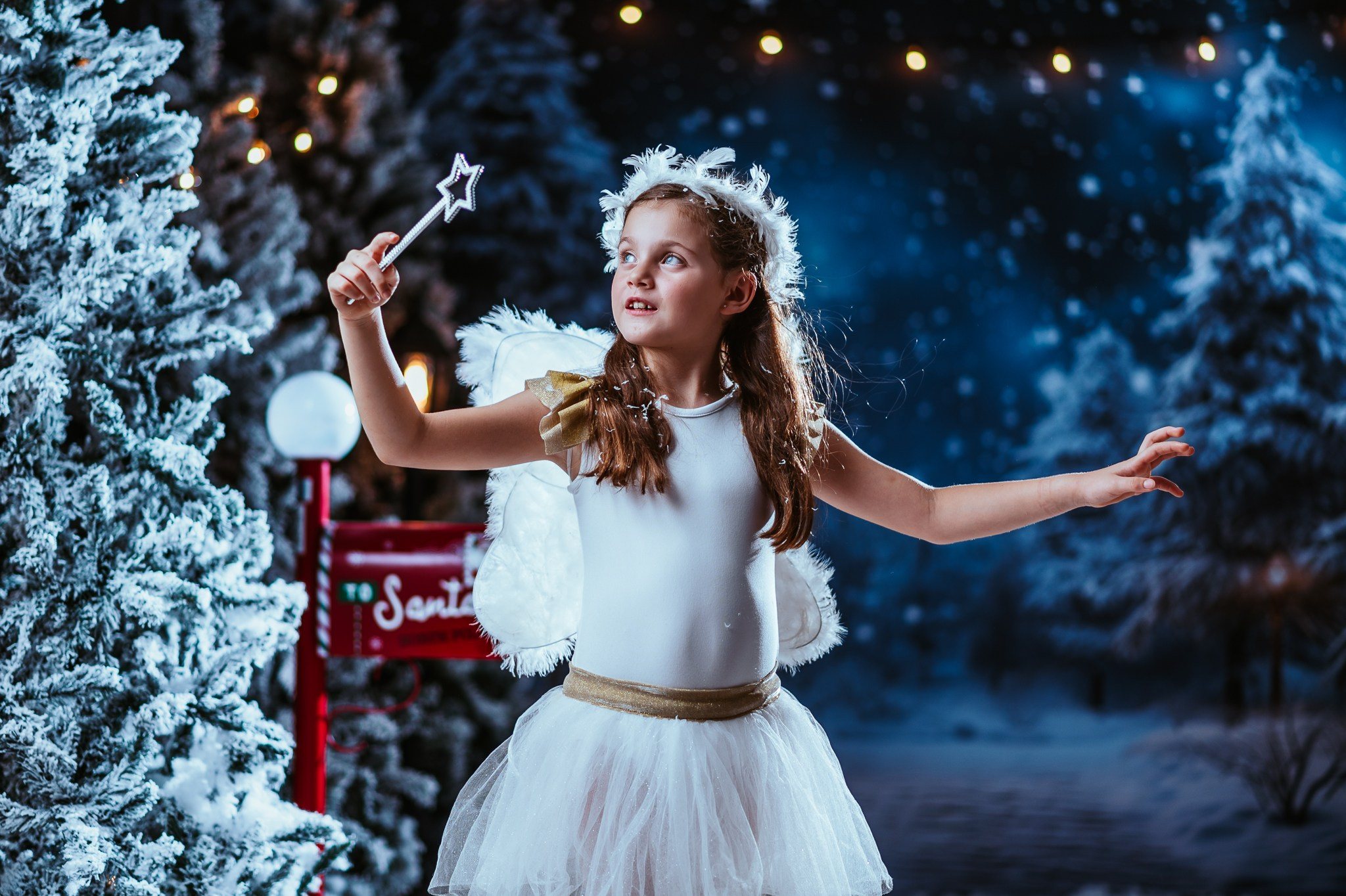 Fotógrafo de bodas, quince años, familias y fotografía infantil en Mérida Yucatán Alberto Rodriguez