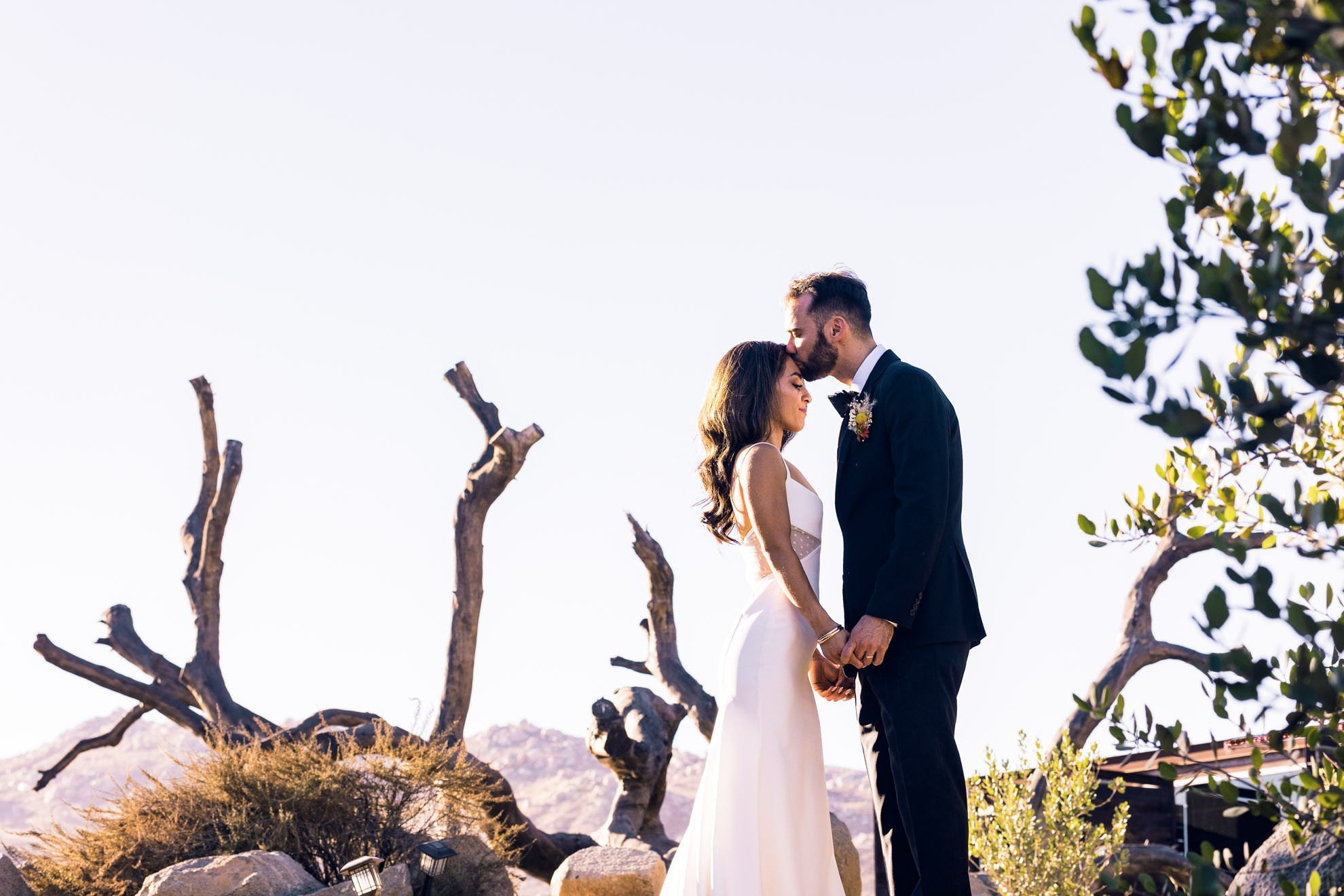 Bruma, Valle de Guadalupe Boda Matt y Ruth. Estudio de fotografia en Tijuana