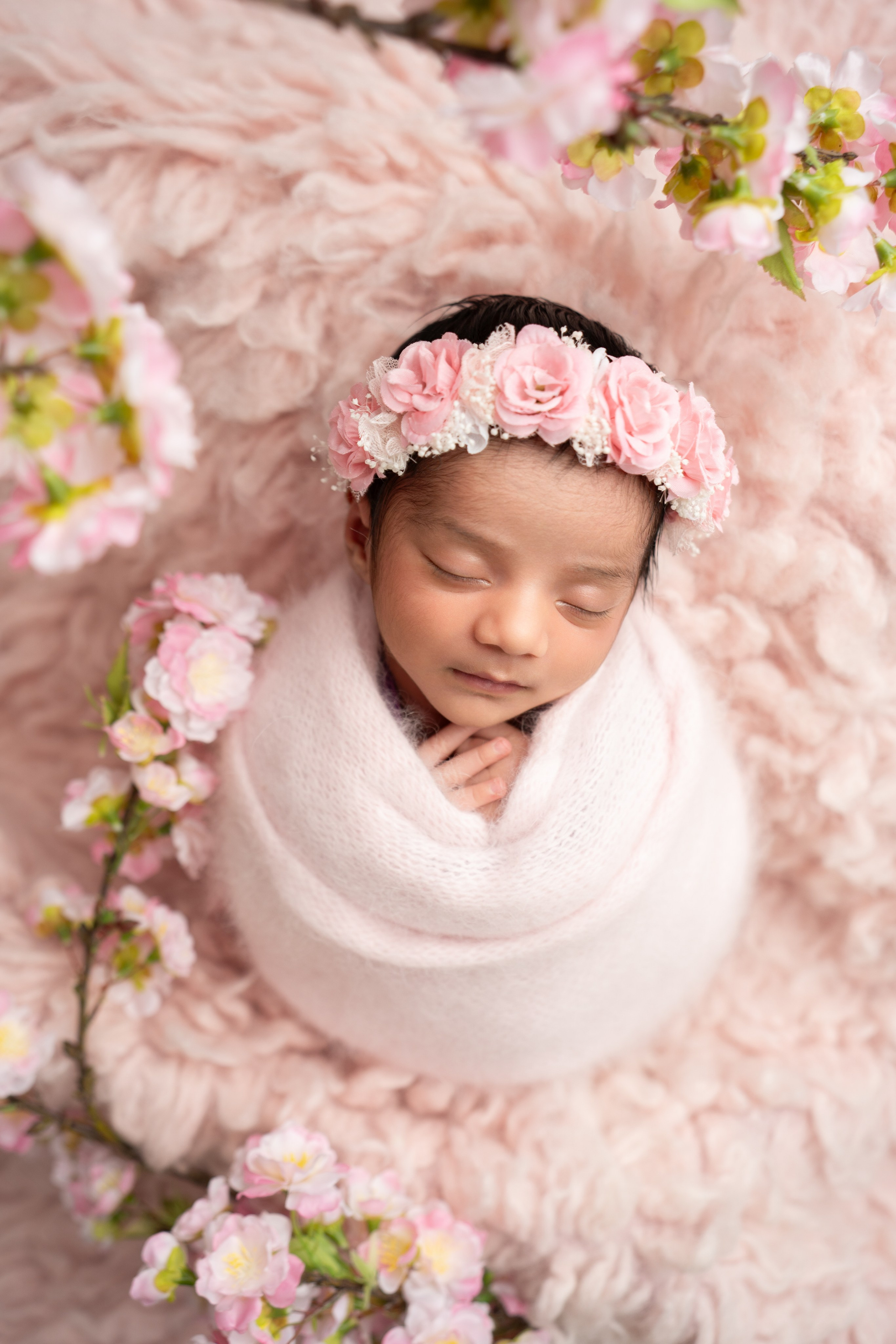 Posed Newborn. Maternity, family and newborn photography in San Francisco Bay Area