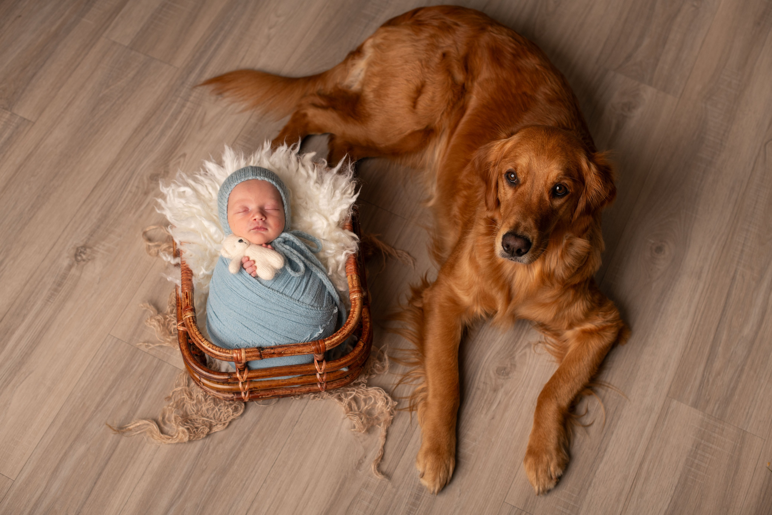Little bit from yesterday photoshoot. Newborn photographer Sacramento