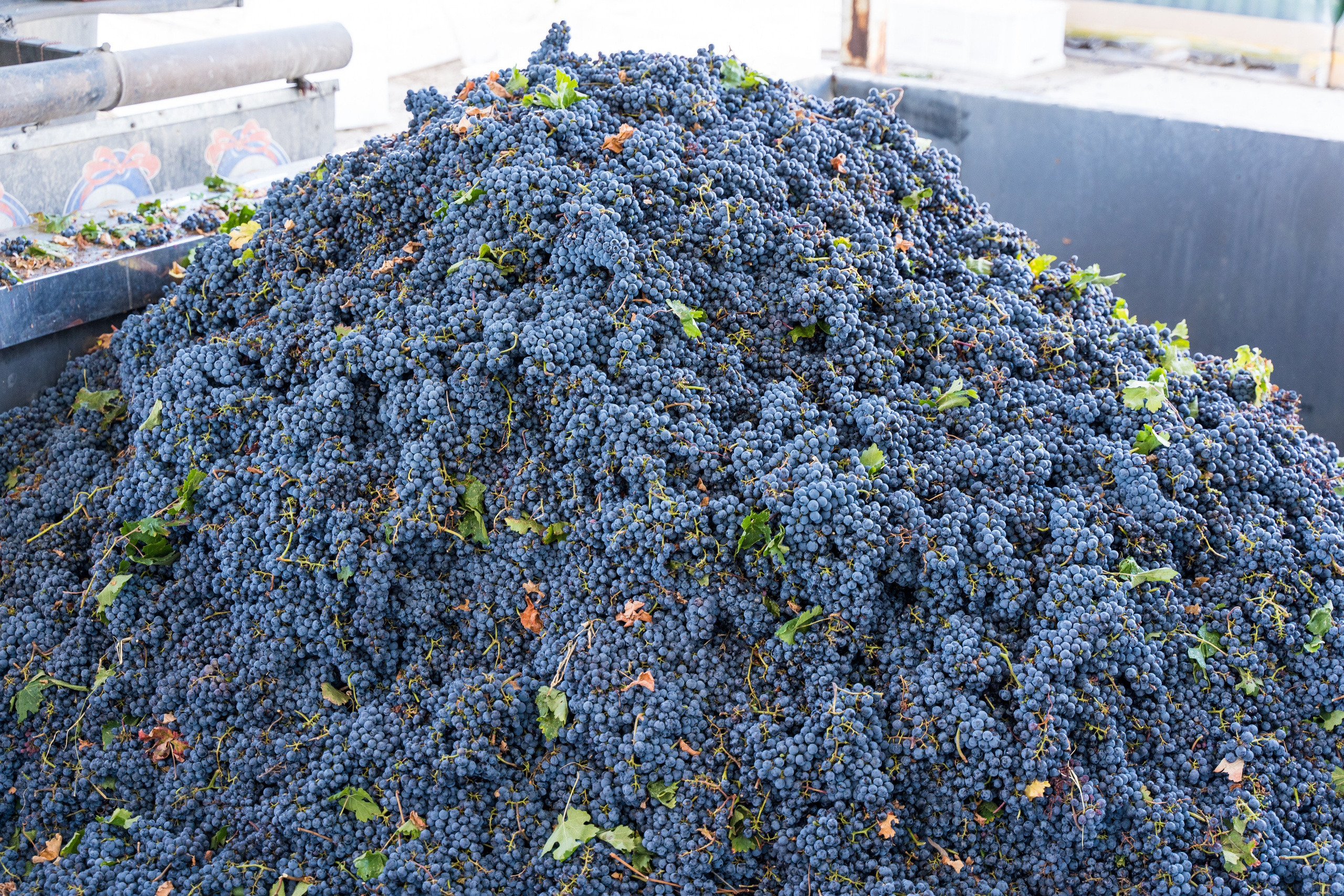 Экскурсии из Анталии. Ирина, фотограф в Анталии. Фотосессии в Кемере, Белеке, Сиде, Бодруме, Каше и Фетхие