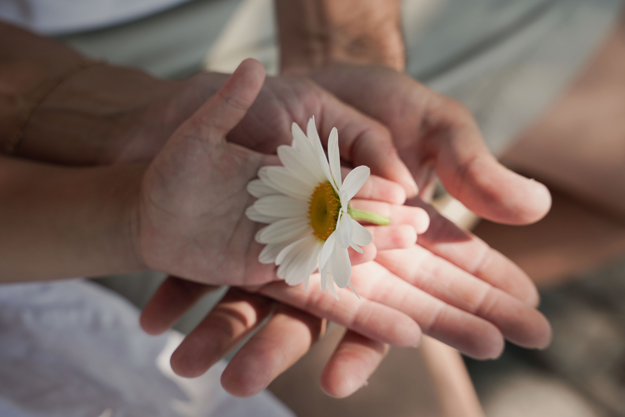 Family, couple and newborn photography in Toronto and GTA