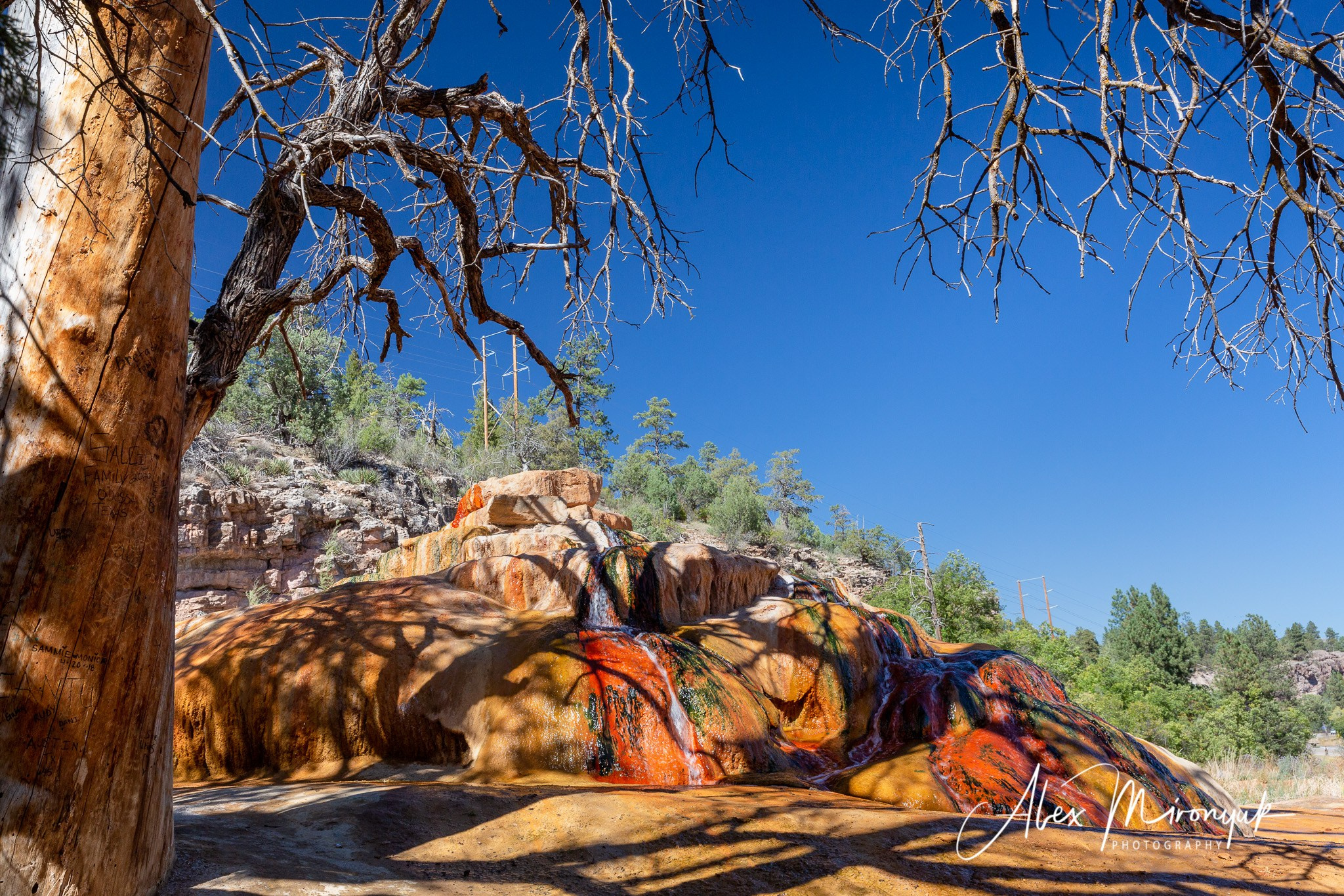 Fall Colors Of Colorado. Pet, Senior, Landscape, portrait studio, photographer in Miami and Sou